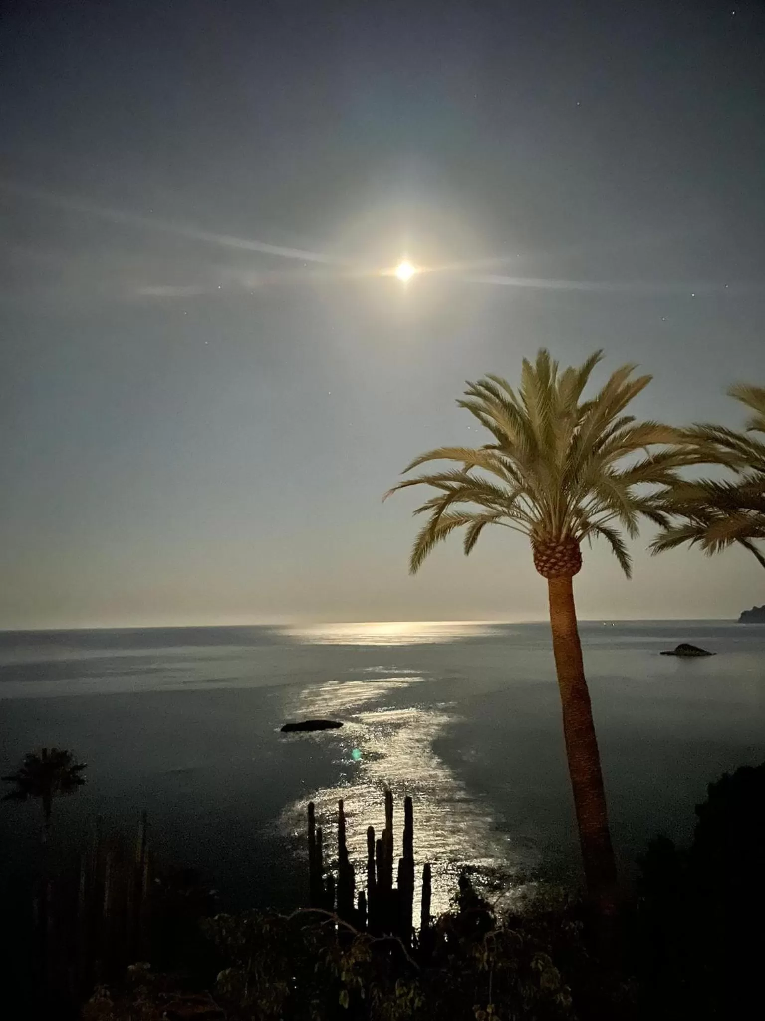 Sunset in El jardin Botánico Villa LUZ