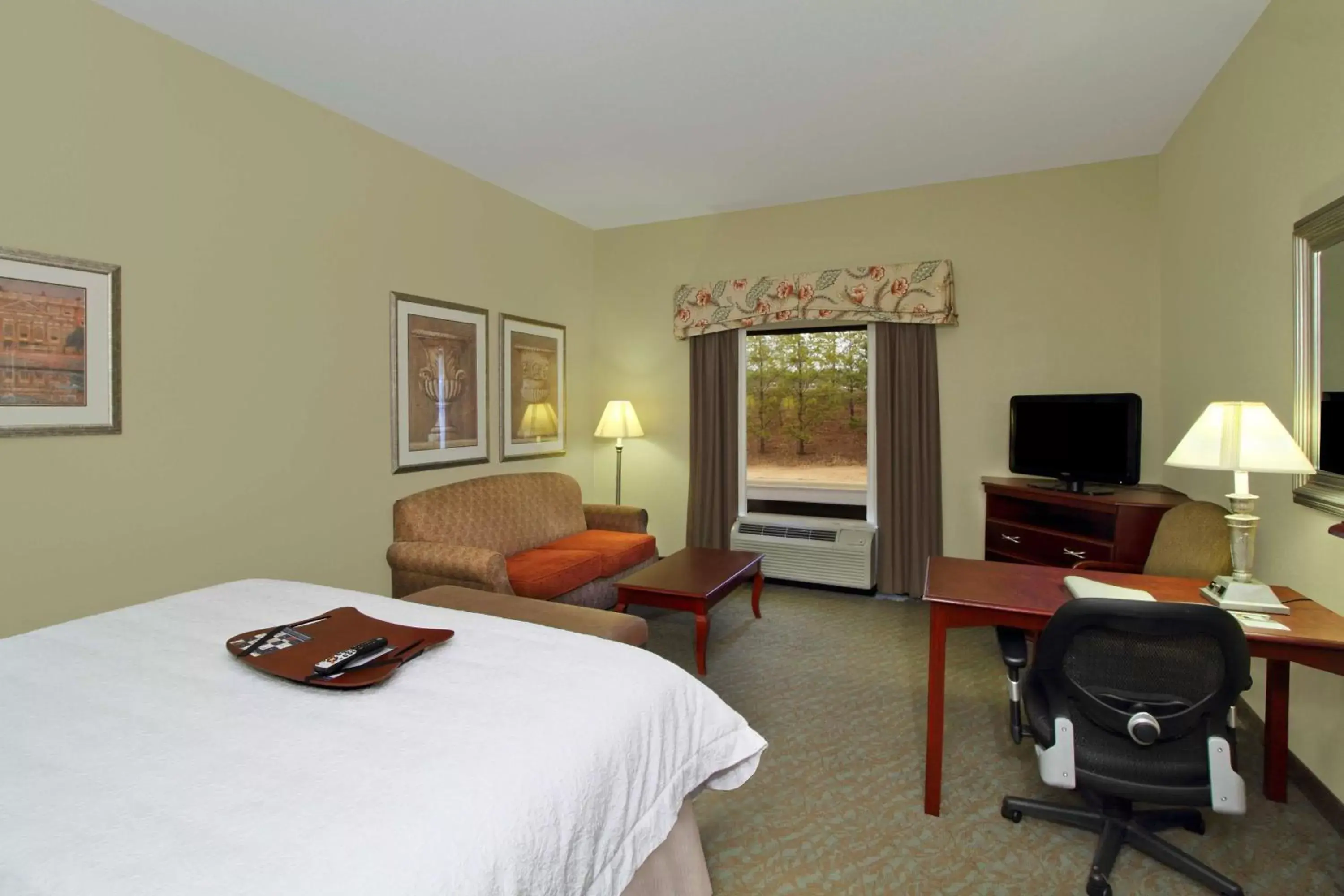 Bed, TV/Entertainment Center in Hampton Inn Jasper