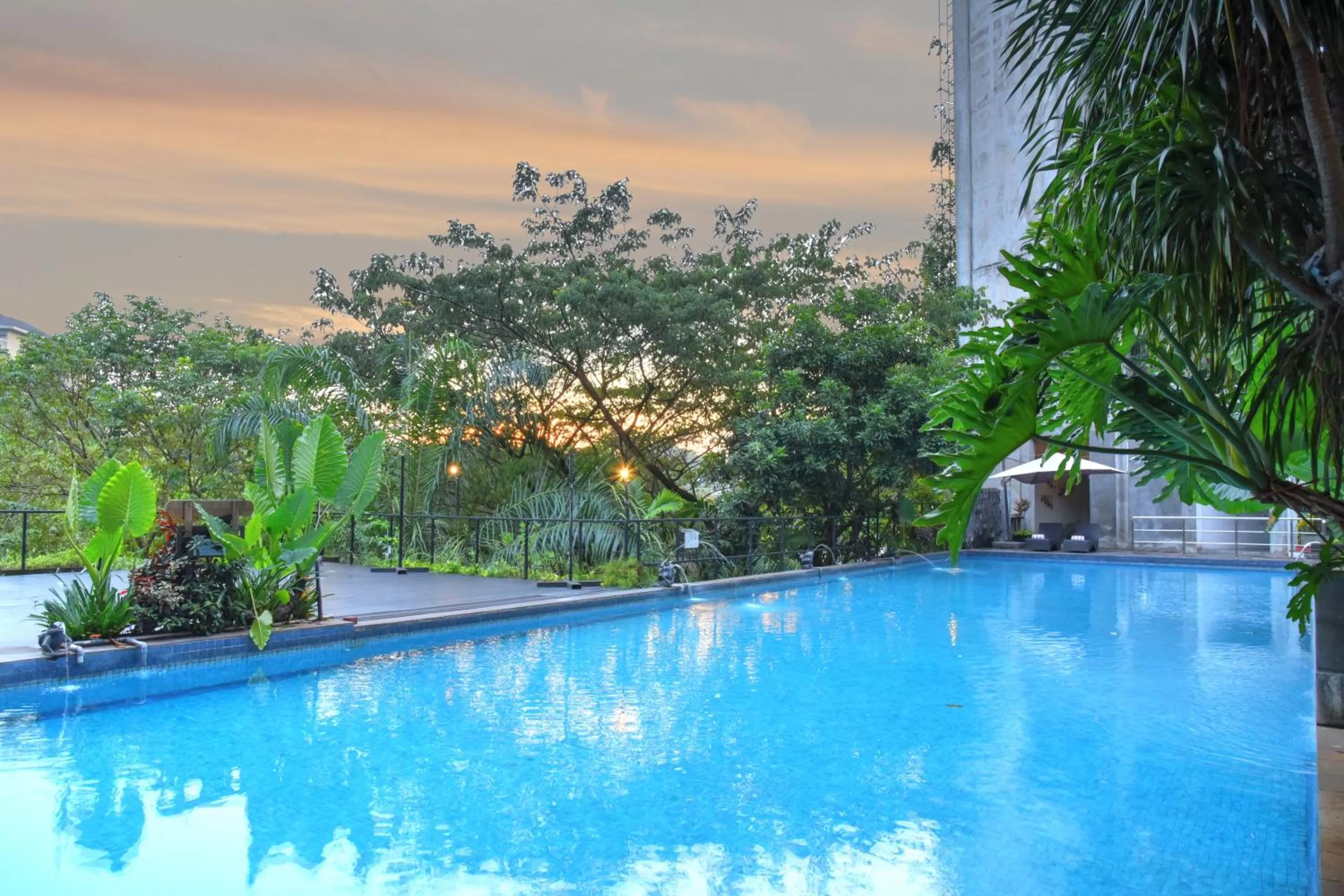 Swimming pool in Oak Tree Emerald Hotel & Coventions Semarang