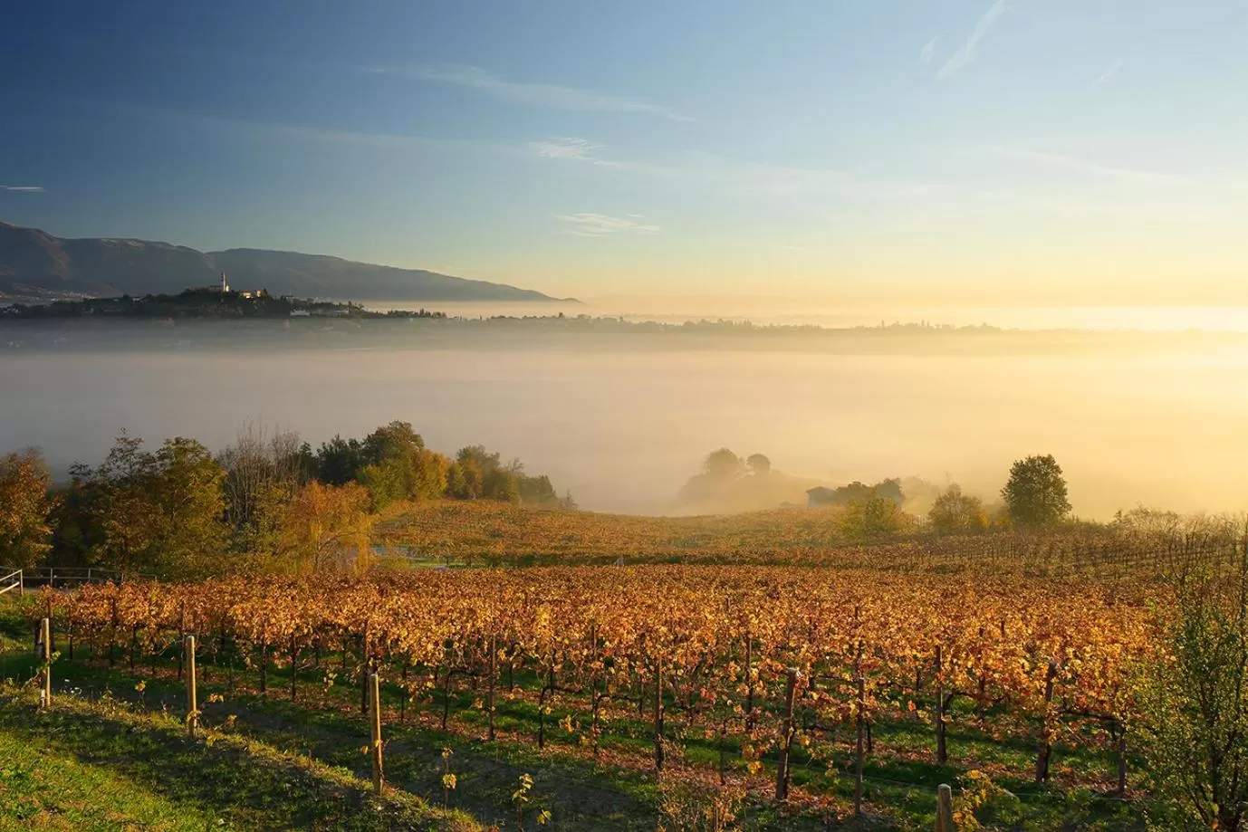 Natural landscape in Villa del Poggio Prosecco Bike Hotel