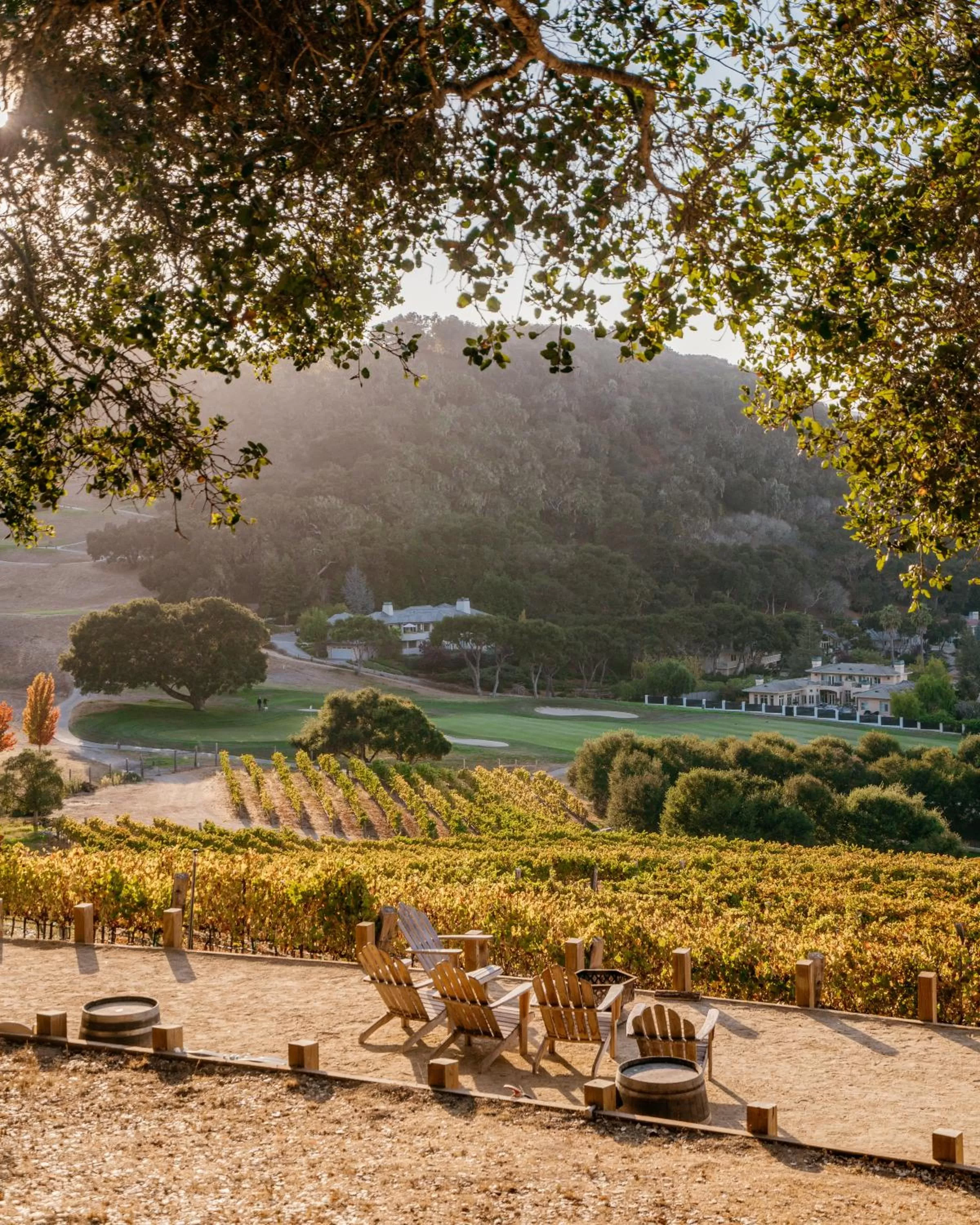 View (from property/room) in Carmel Valley Ranch, in The Unbound Collection by Hyatt