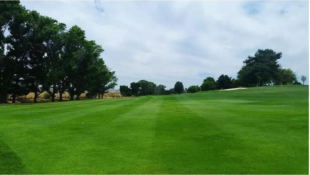 Golfcourse, Golf in Ridgemark Golf Club and Resort