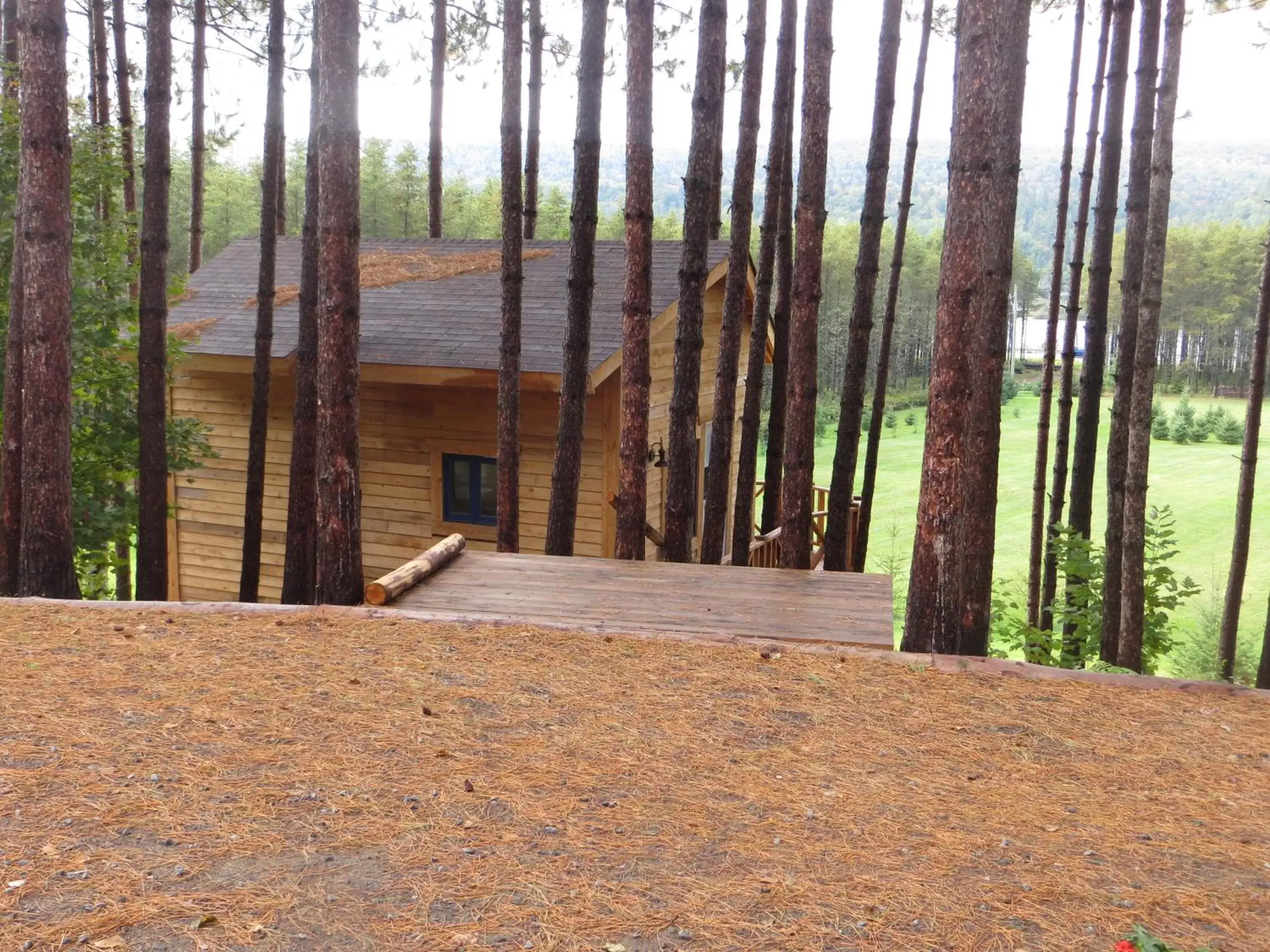 La maison sous les arbres