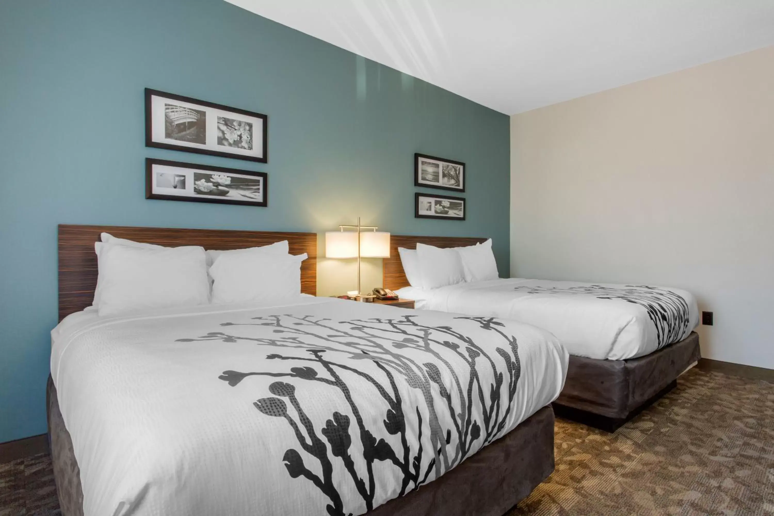 Bed in Sleep Inn & Suites Middletown - Goshen