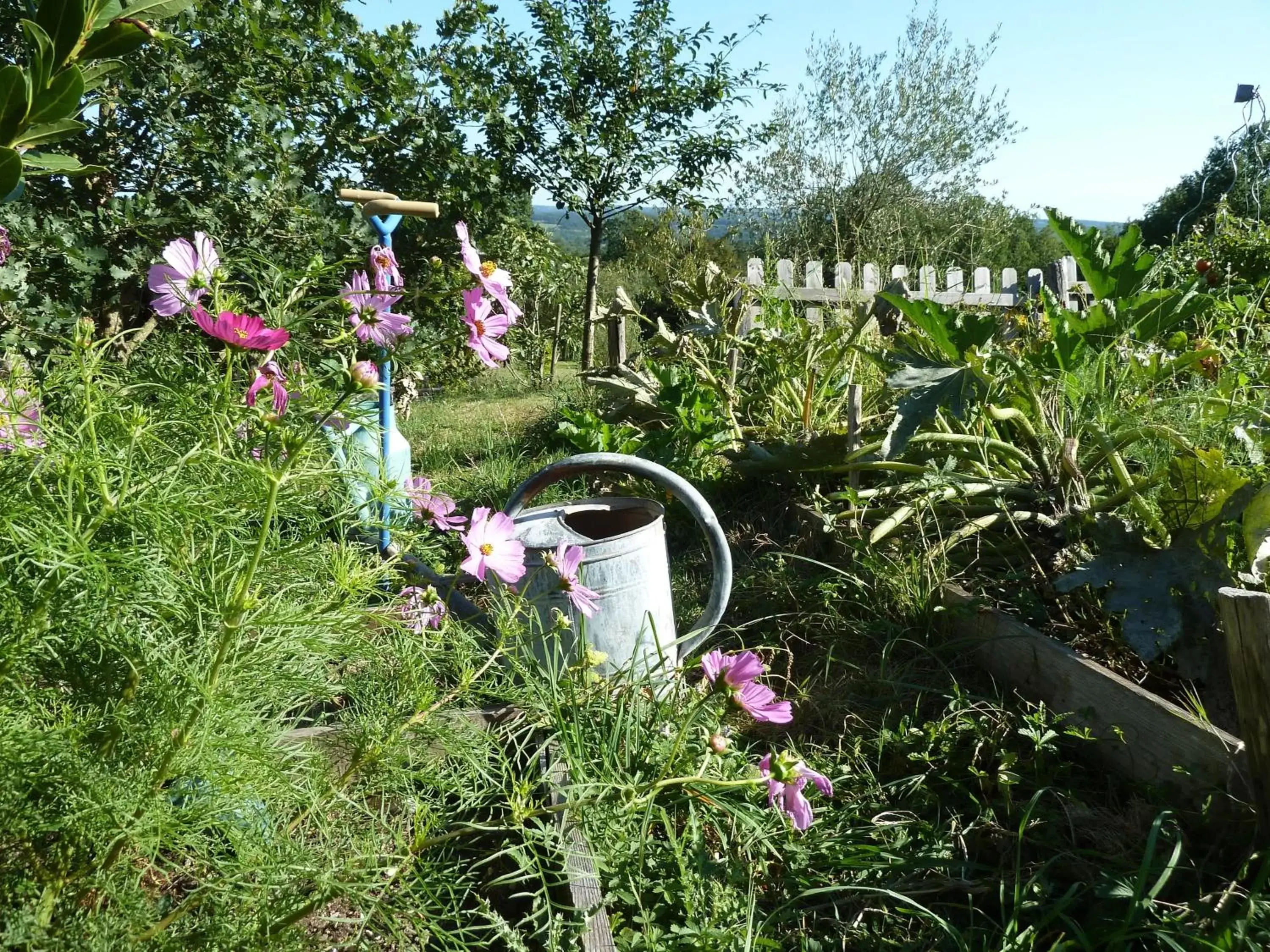 Garden in La Maison du Parc