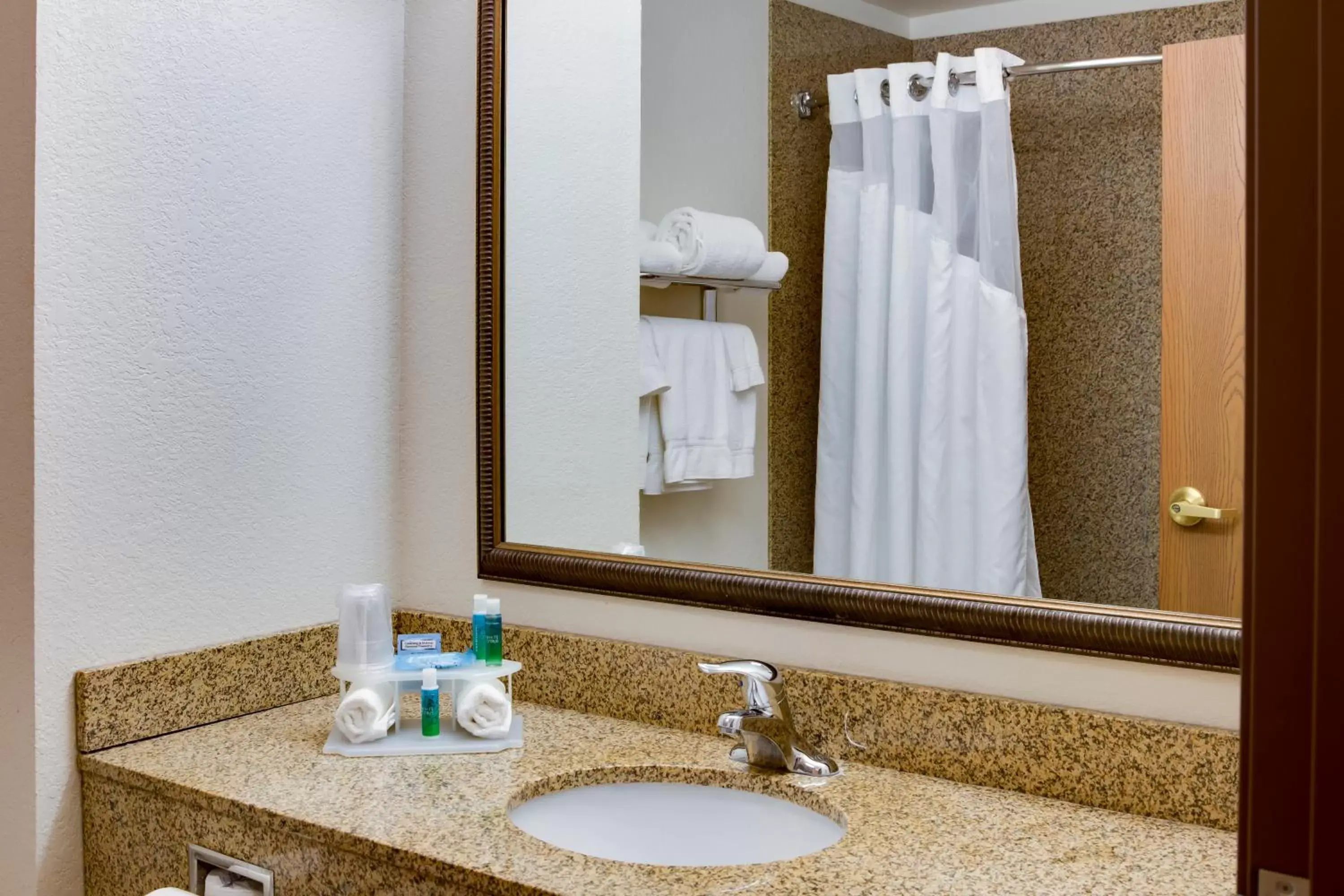 Bathroom in Holiday Inn Express & Suites Jacksonville, an IHG Hotel