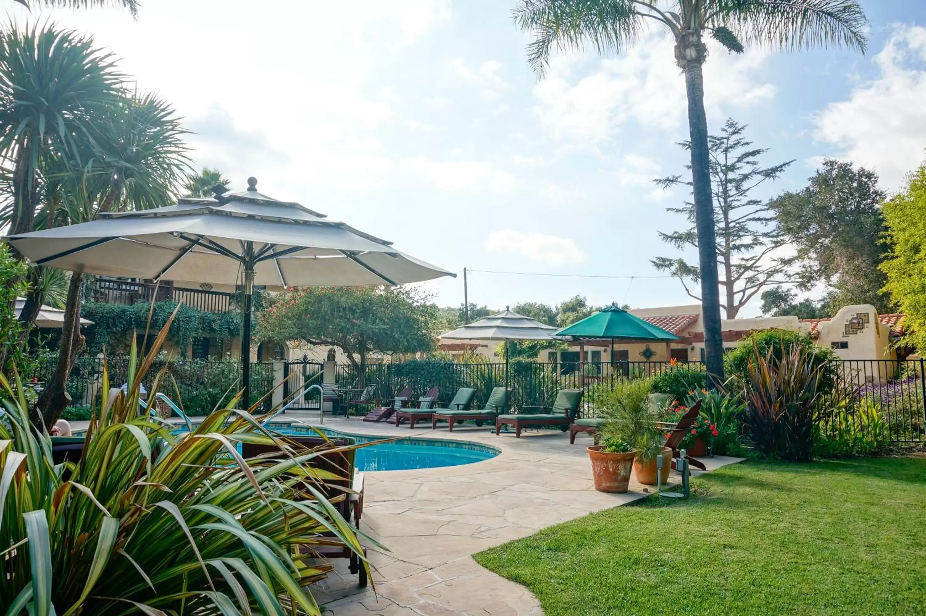 Swimming Pool in Blue Iguana Inn