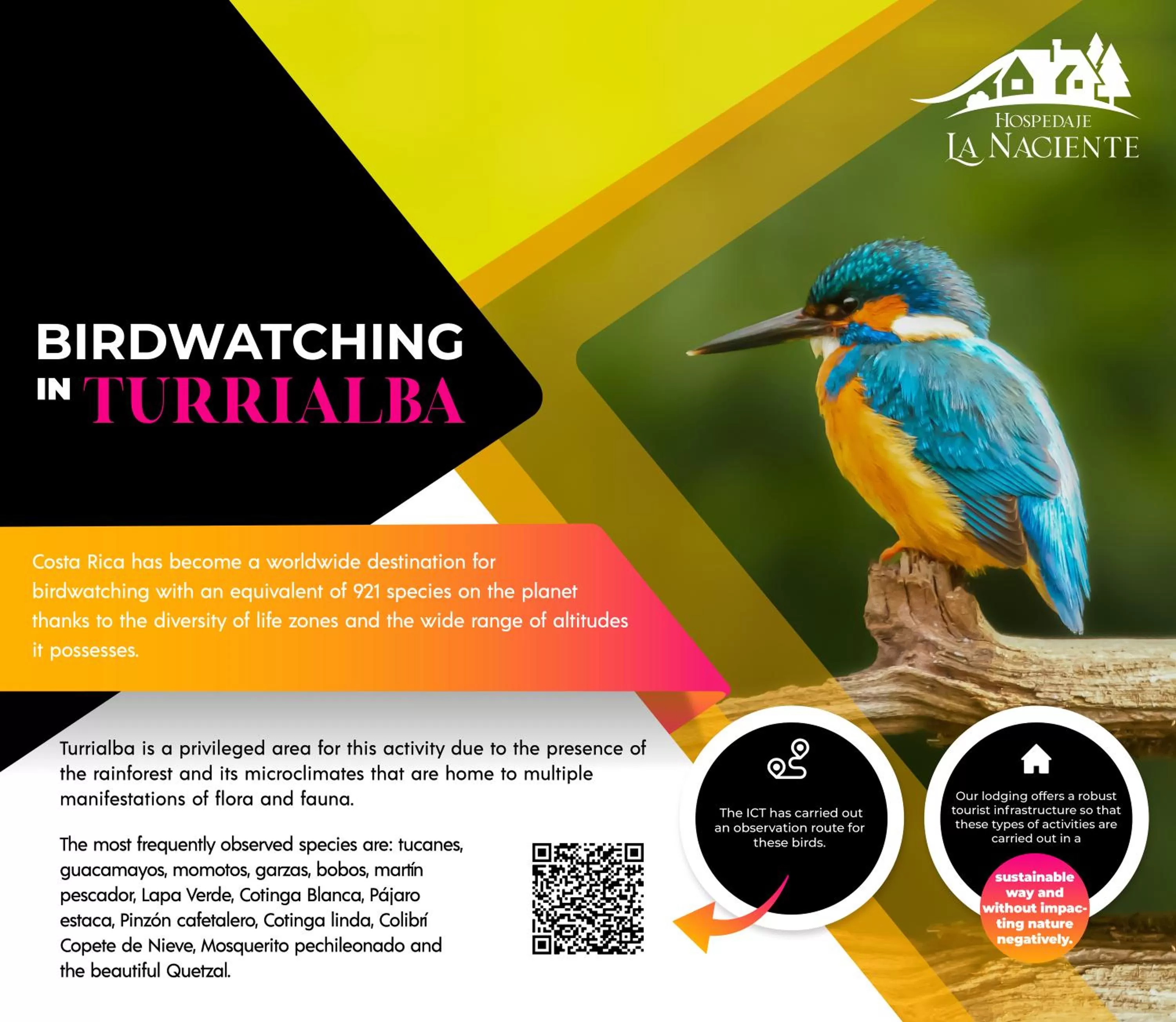 Animals, Other Animals in Hospedaje La Naciente