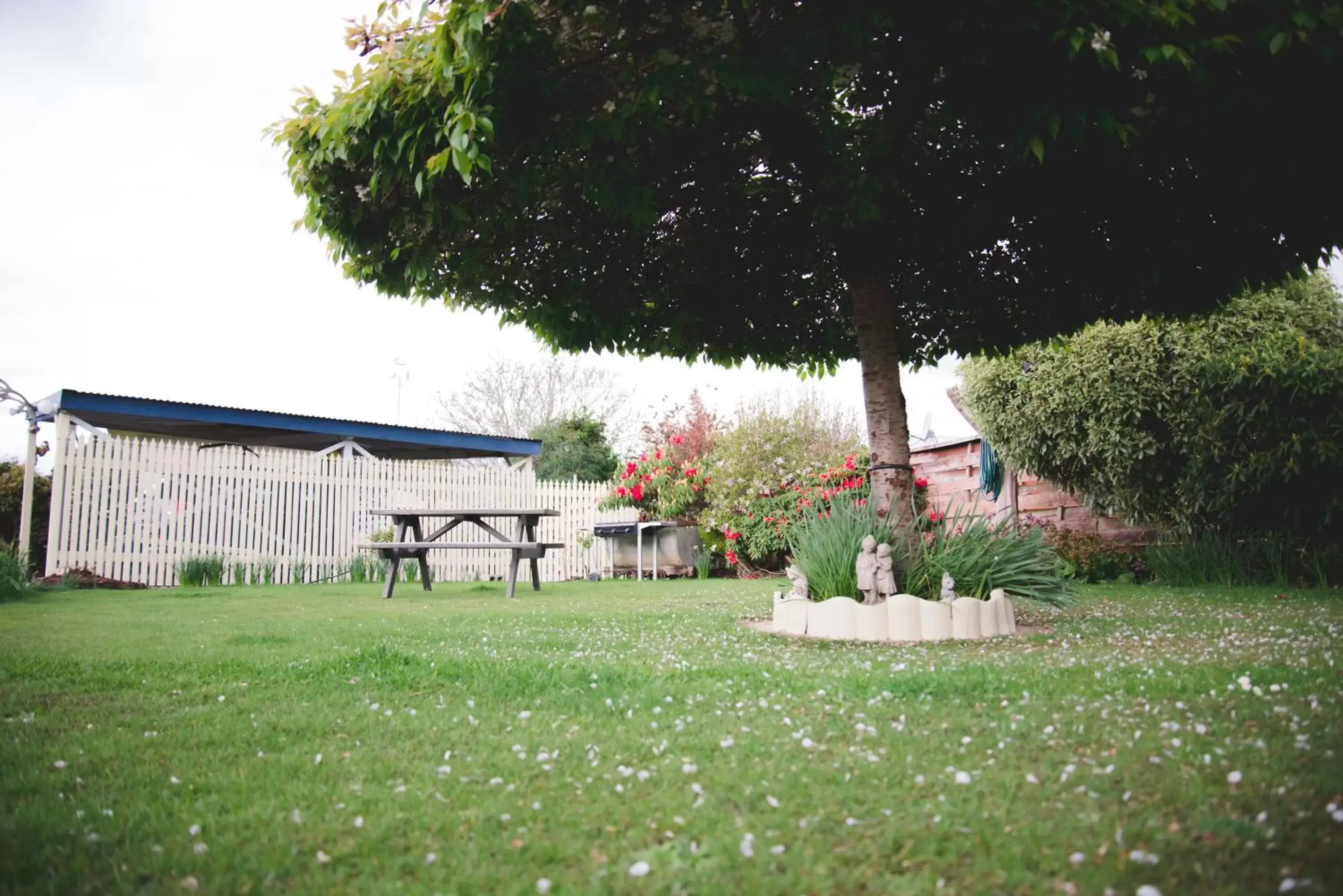 Day, Garden in Alpenhorn Motel