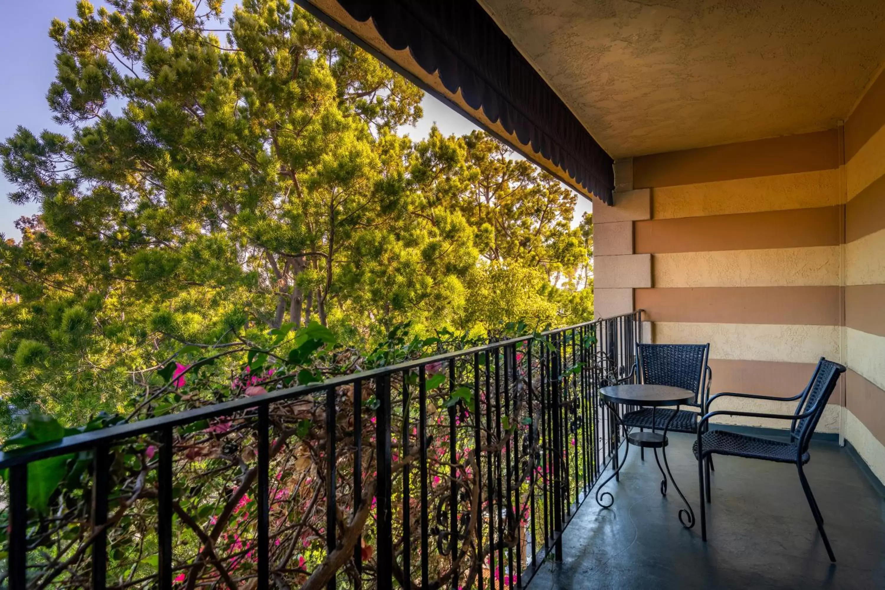 Balcony/Terrace in Hotel Pepper Tree Boutique Kitchen Studios - Anaheim