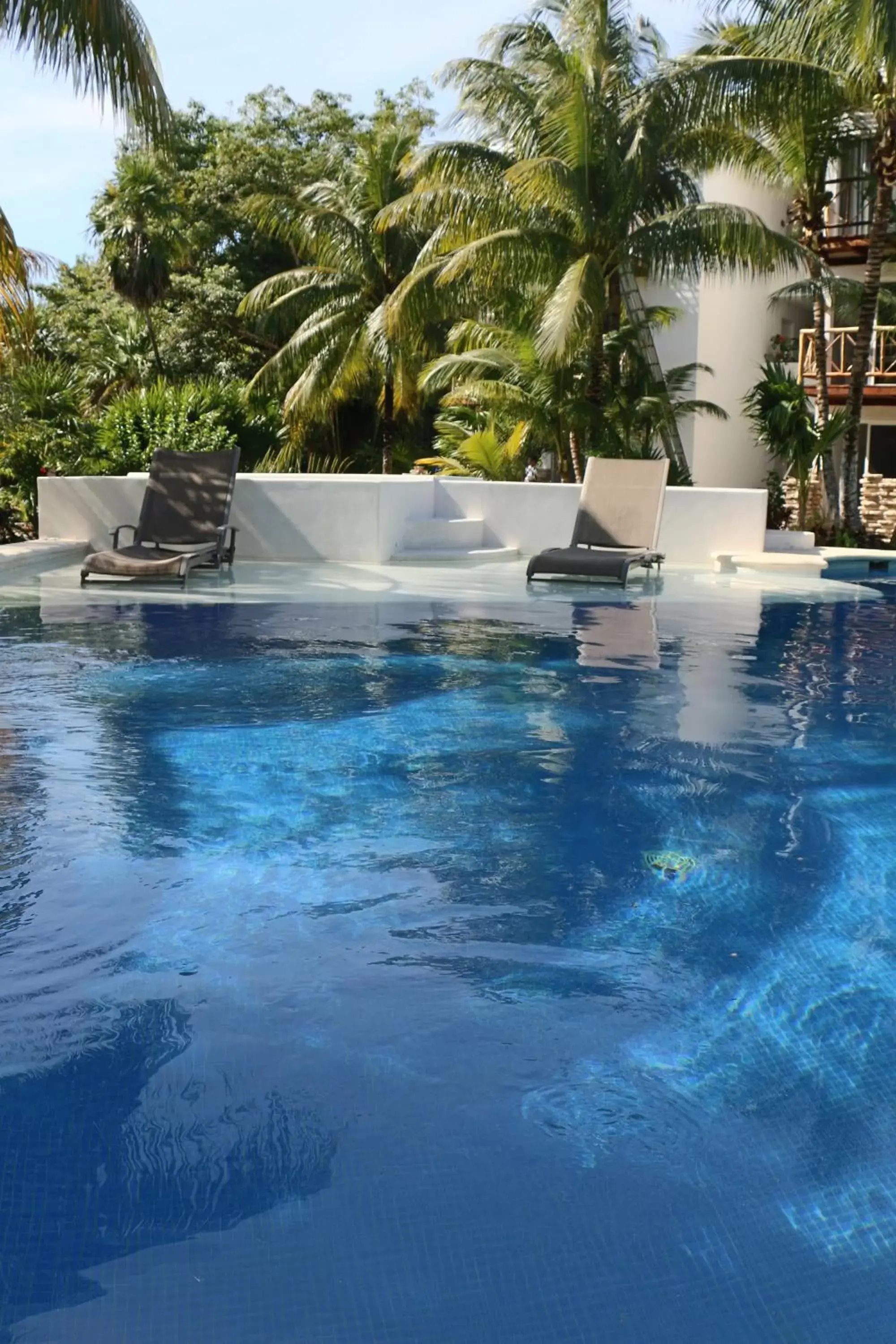 Other, Swimming Pool in WishTulum