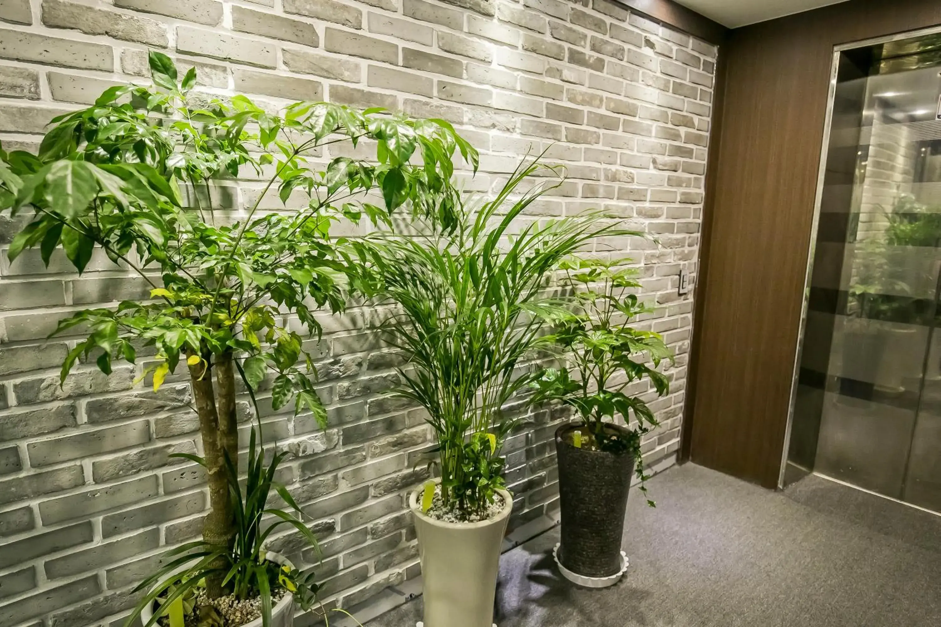 Lobby or reception in Philstay Myeongdong Station