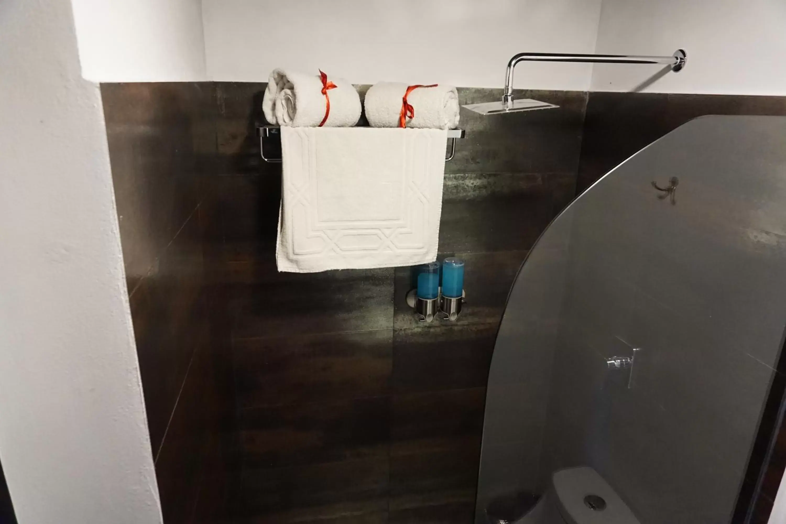 Shower, Bathroom in Hotel Black Mexico City