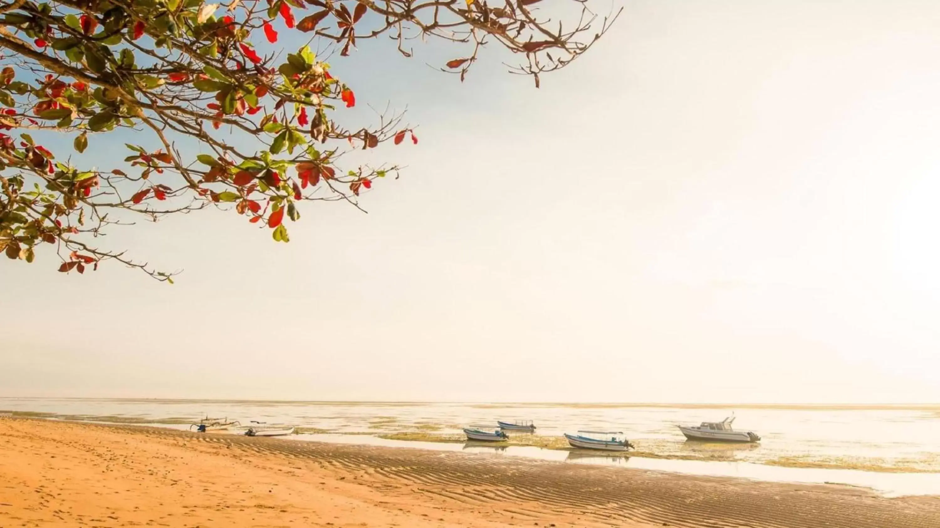 Beach in Abian Harmony Hotel