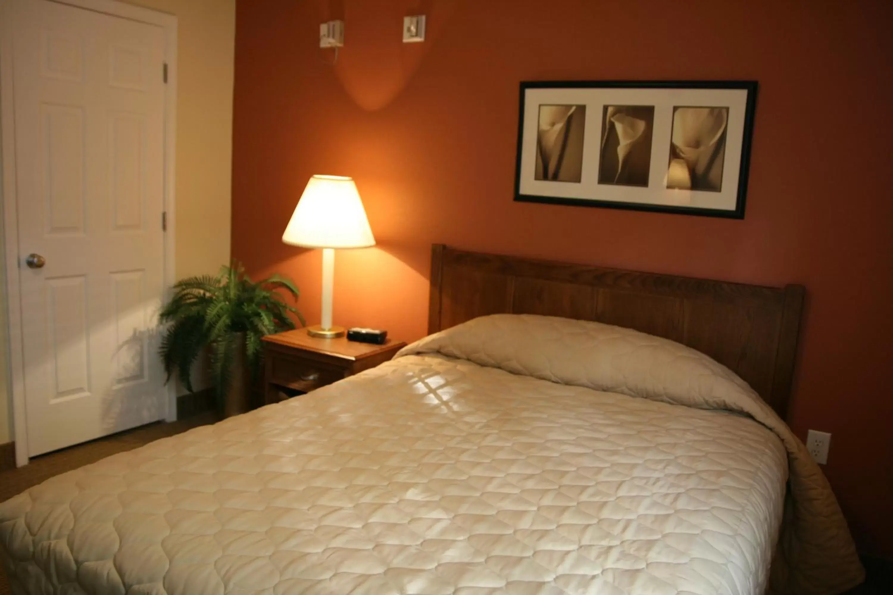 Bed in Affordable Suites of America Fredericksburg