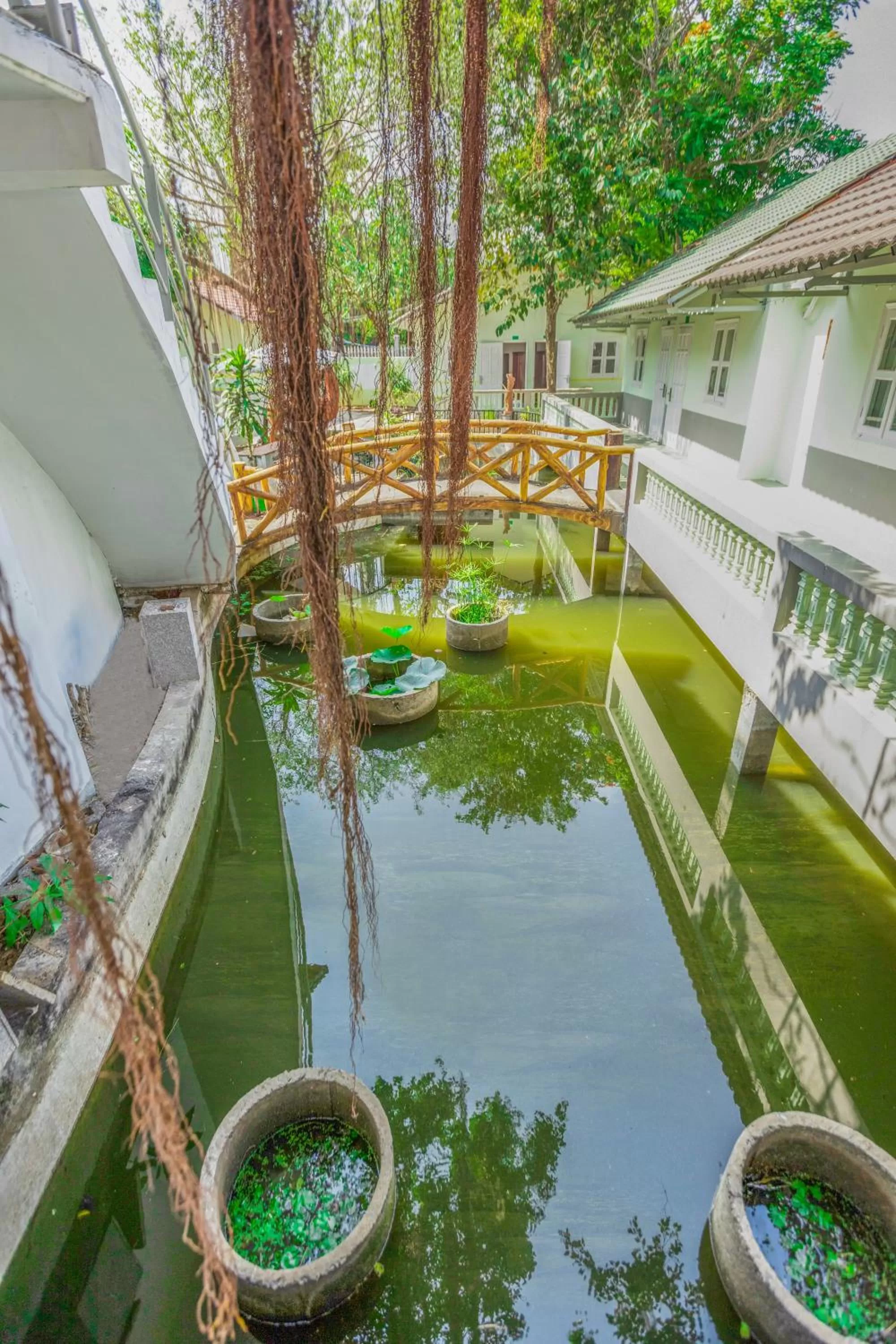 Neighbourhood in Caroline Resort