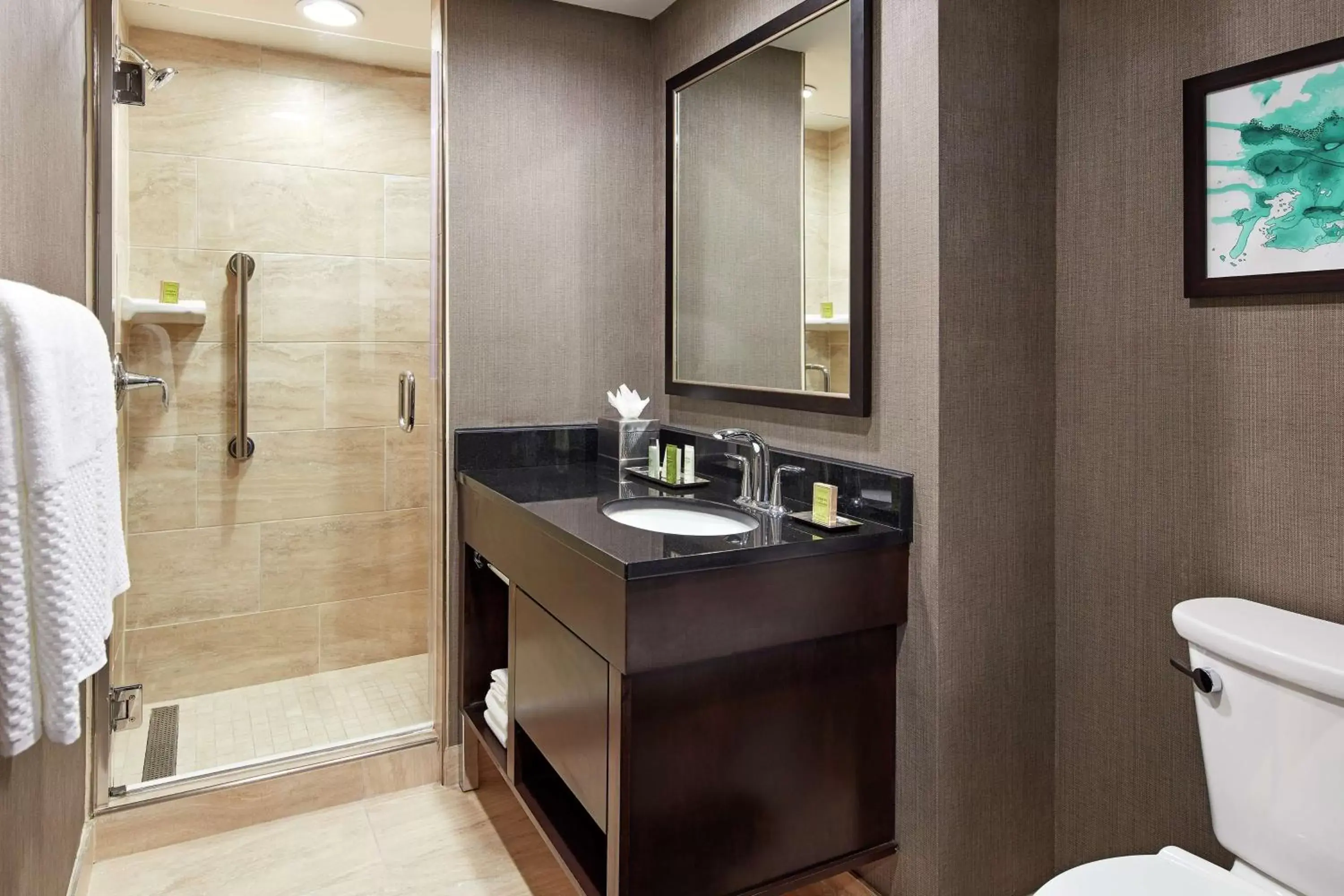 Bathroom in Hilton Houston Plaza/Medical Center