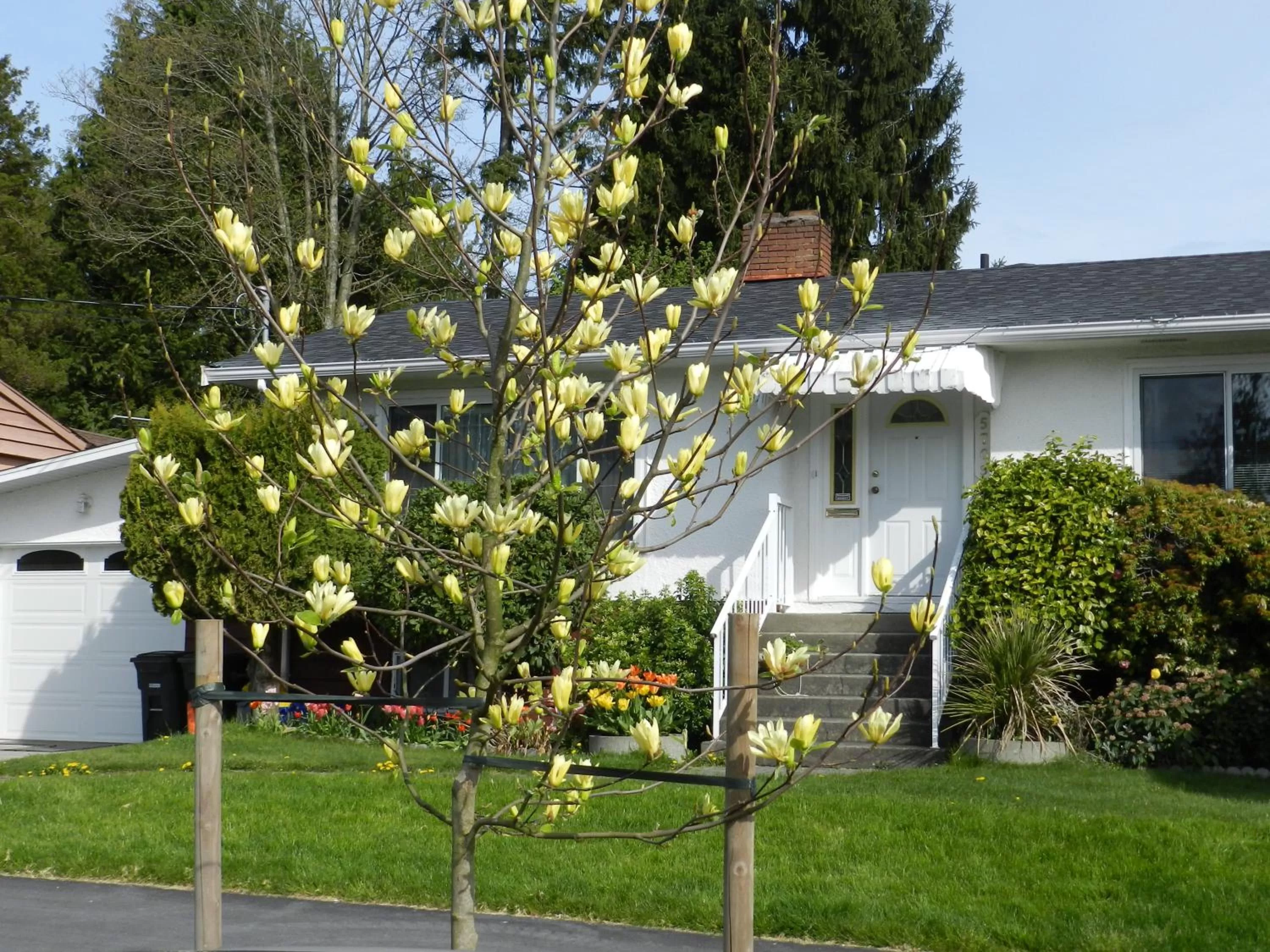 Street view, Garden in Serenity