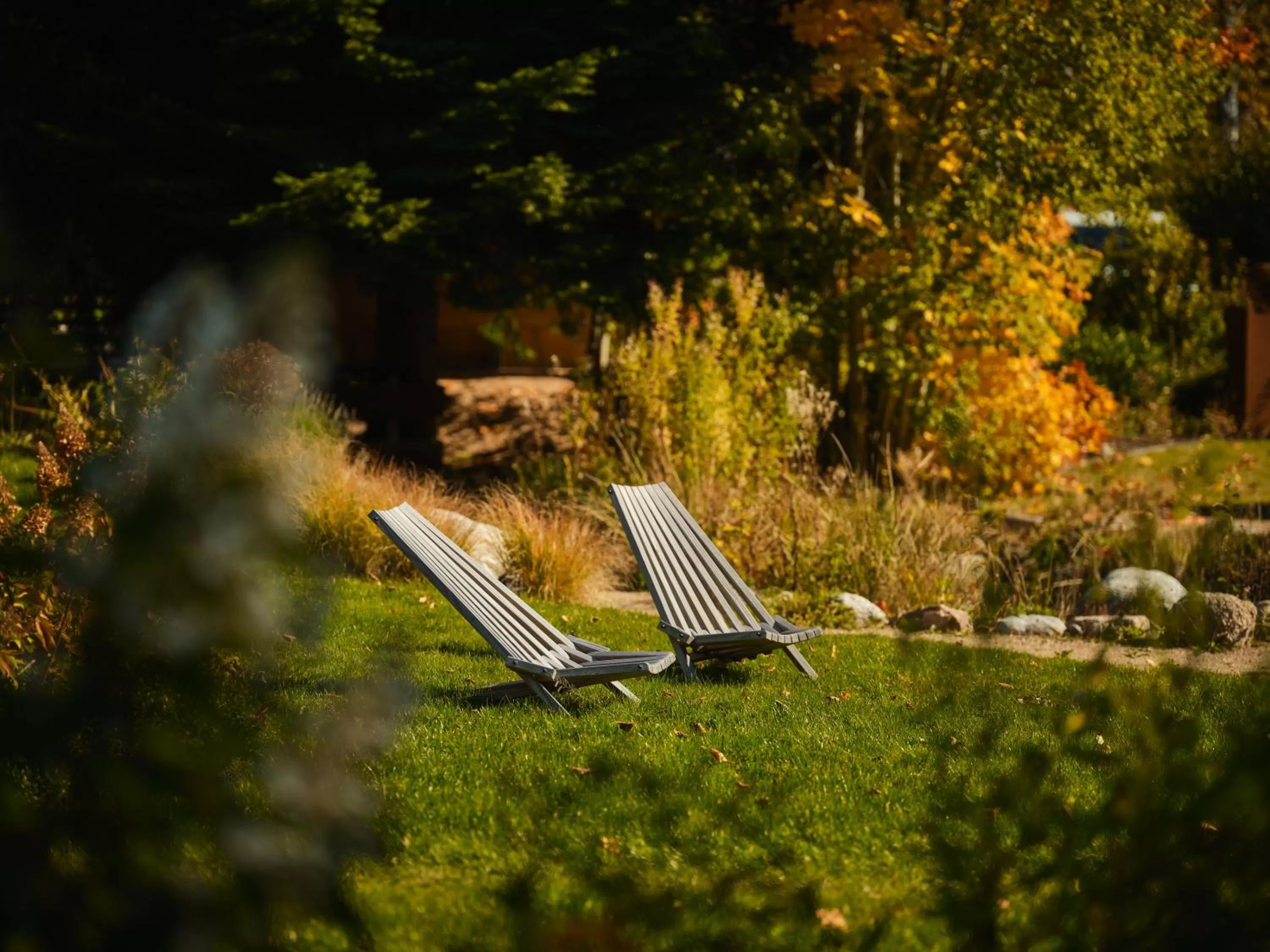 Garden in Boutique Hotel Mühle Schluchsee