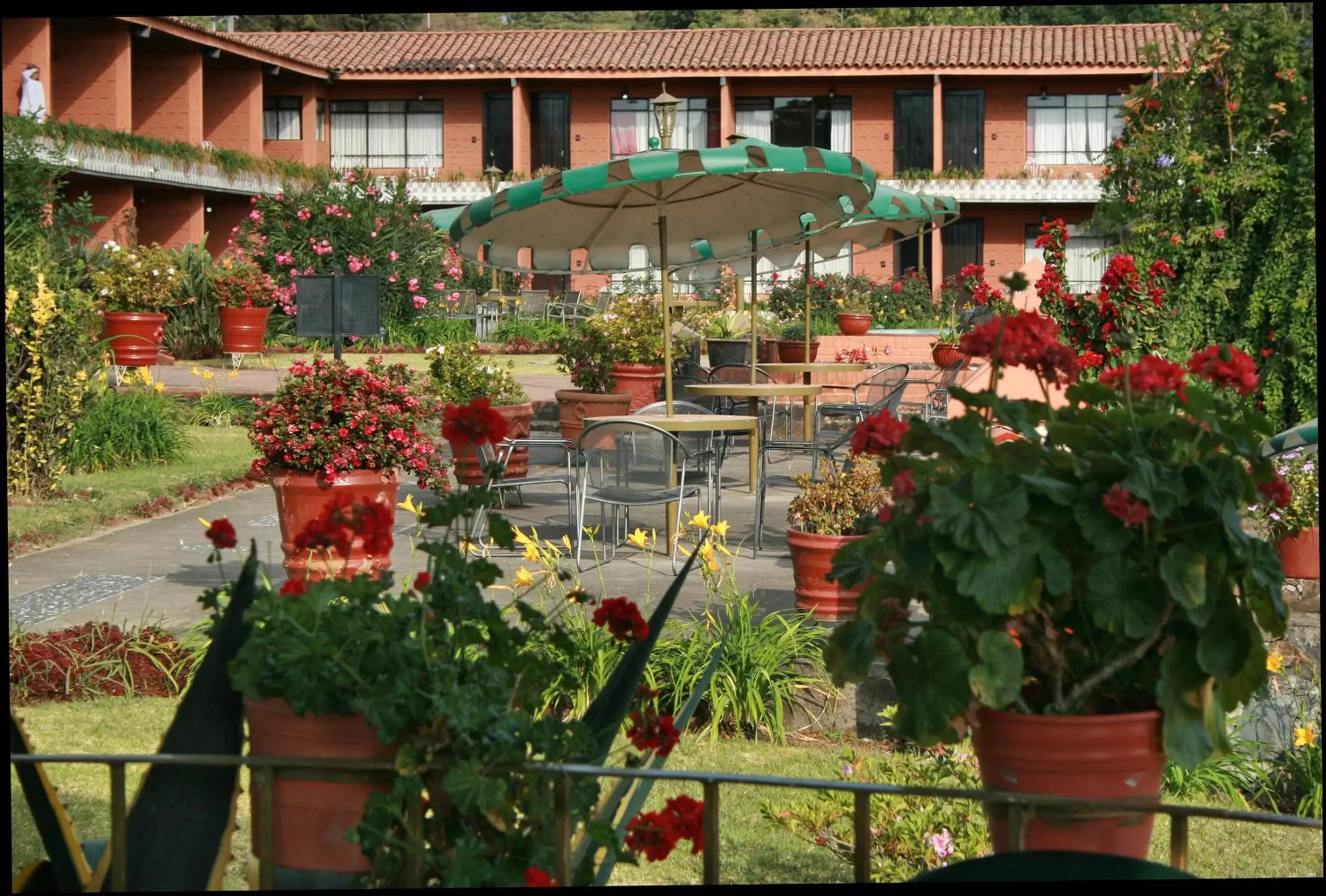 Area and facilities in Hotel Pie de la Sierra