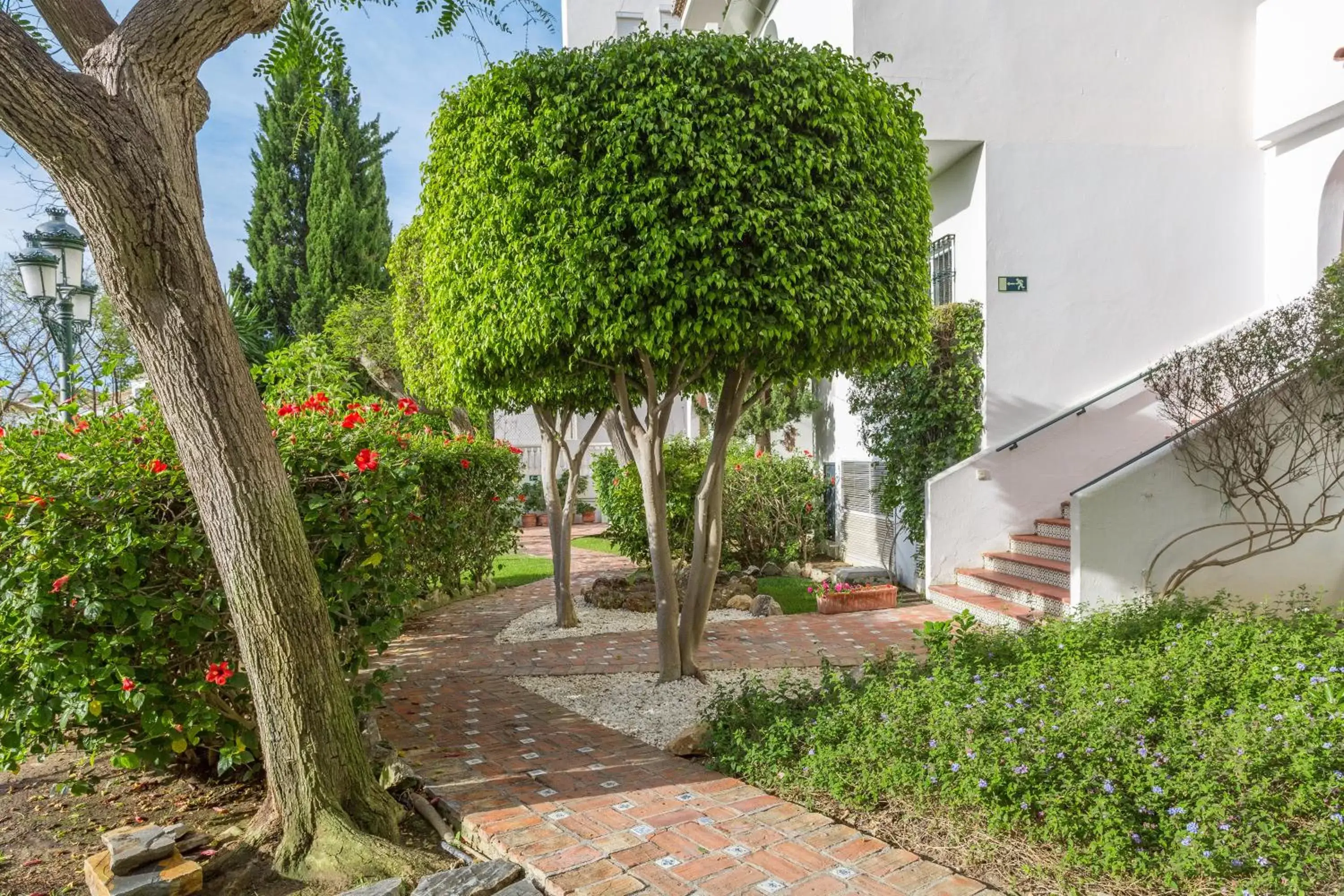 Property building, Garden in Royal Oasis Club at Pueblo Quinta