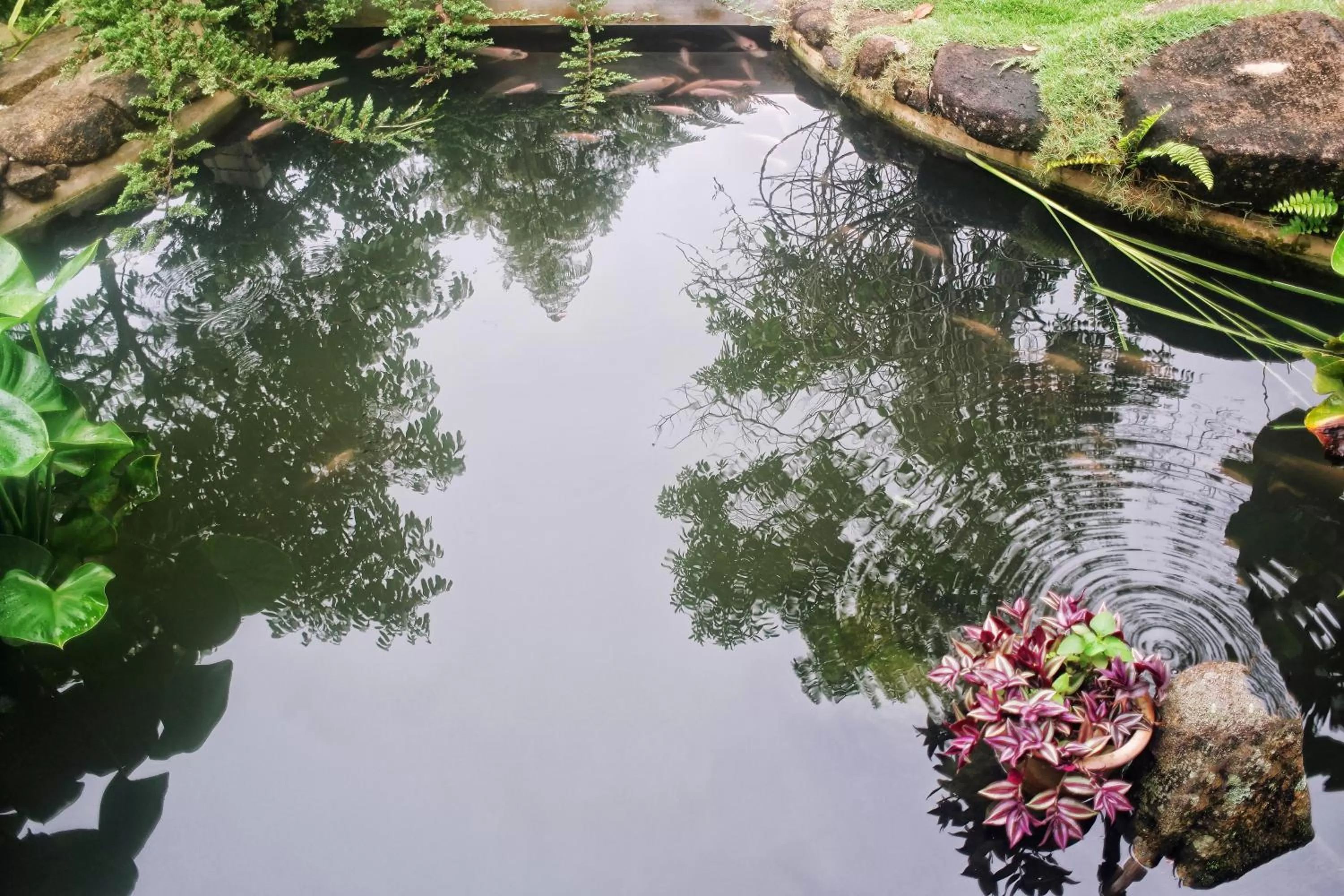 Other in Harmony Valley Retreat