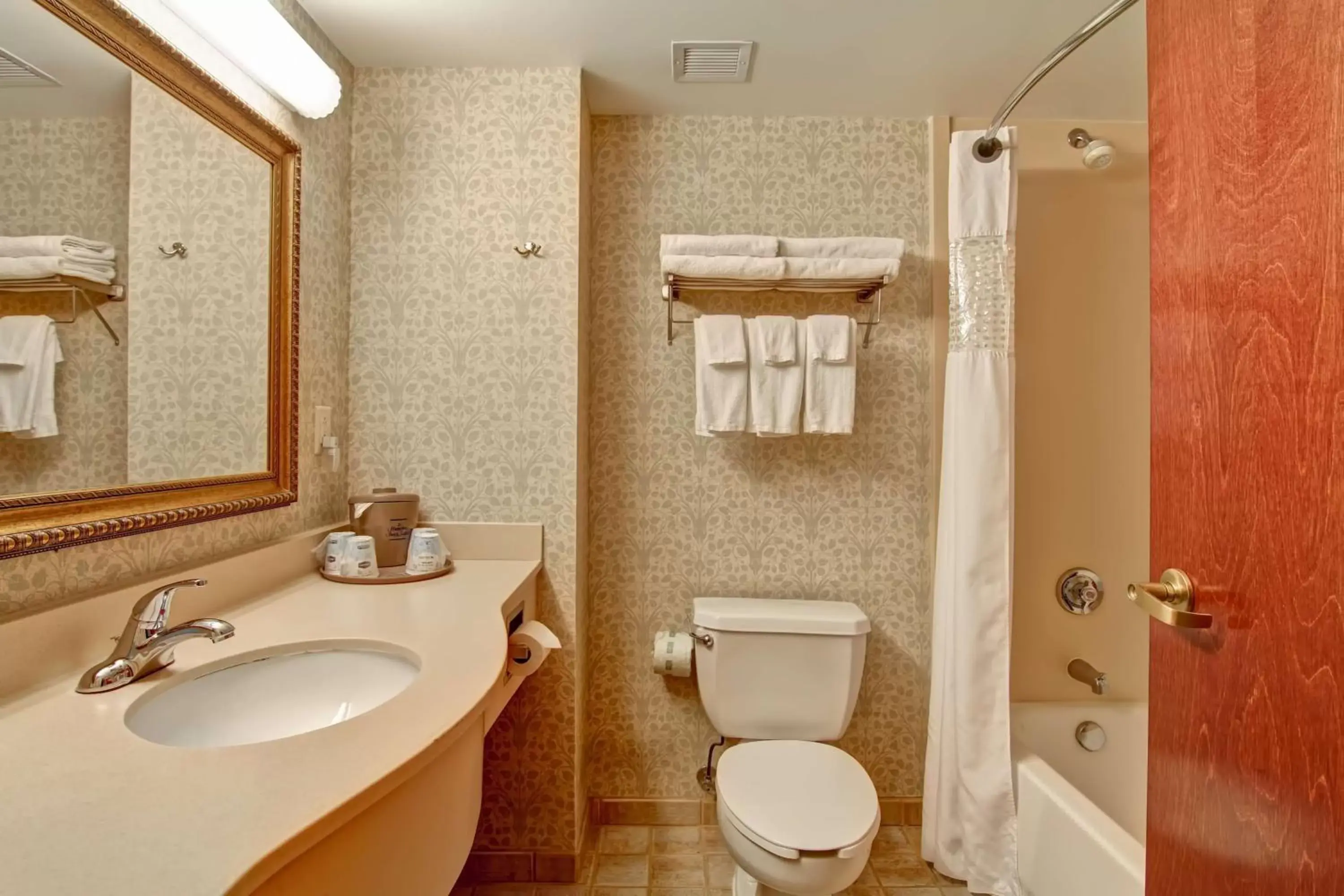 Bathroom in Hampton Inn & Suites Leesburg