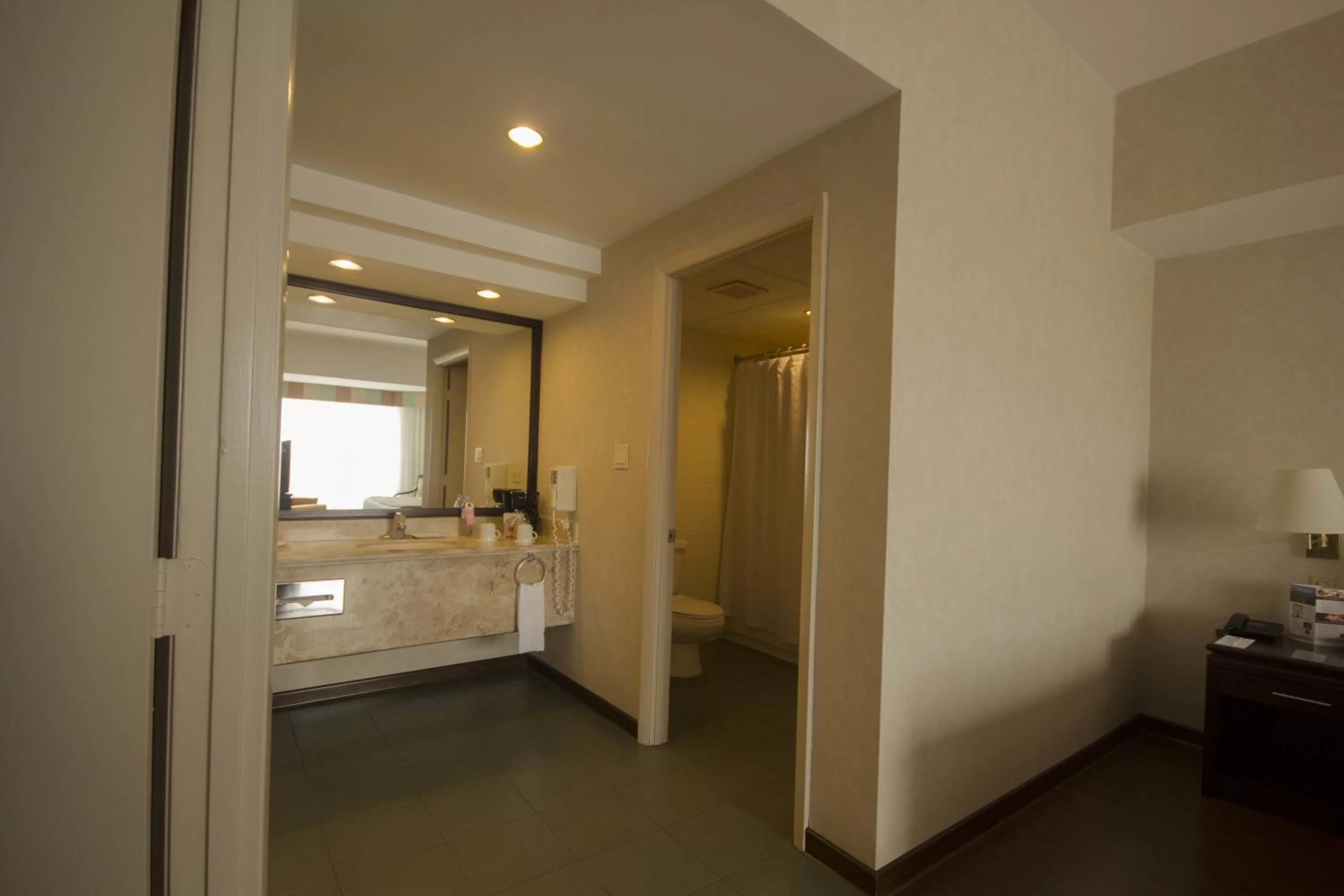King Suite - Non-Smoking VIP Floor in Clarion Suites Guatemala City
