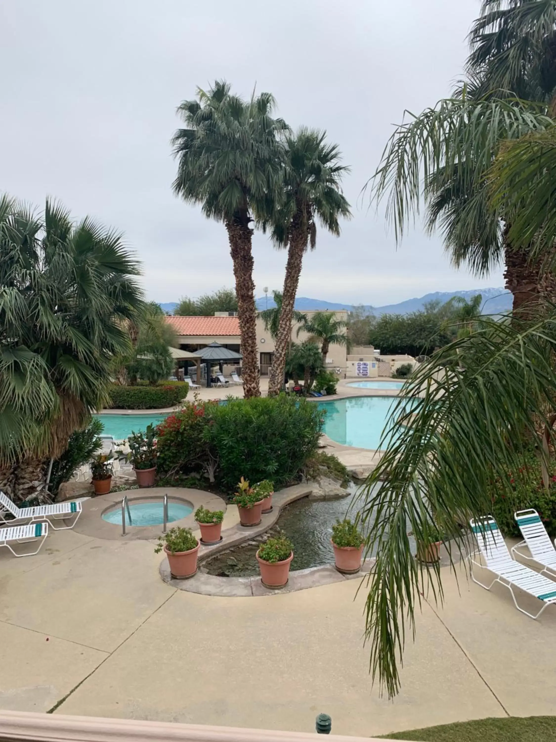 Pool View in Miracle Springs Resort and Spa