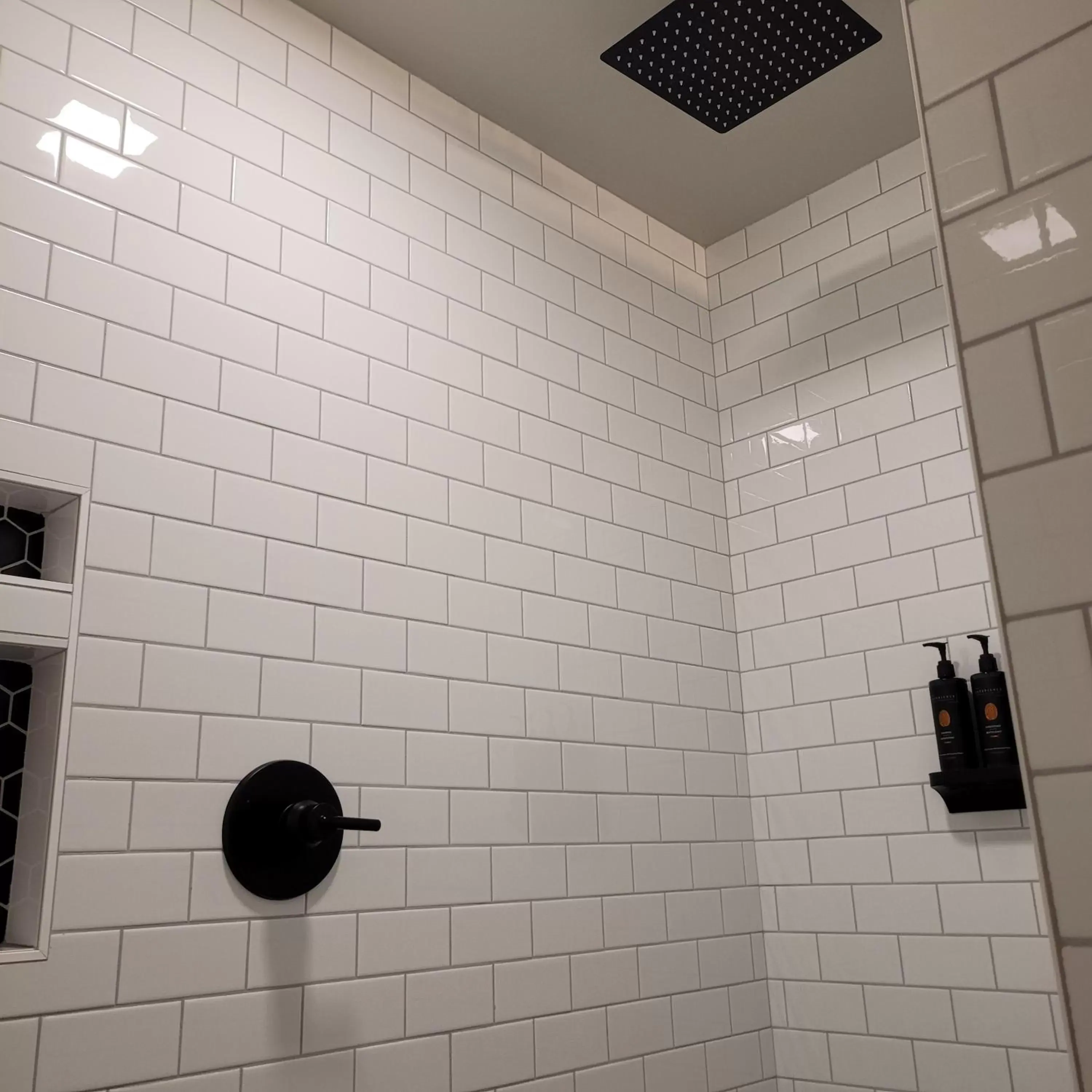 Shower, Bathroom in The Baker Hotel