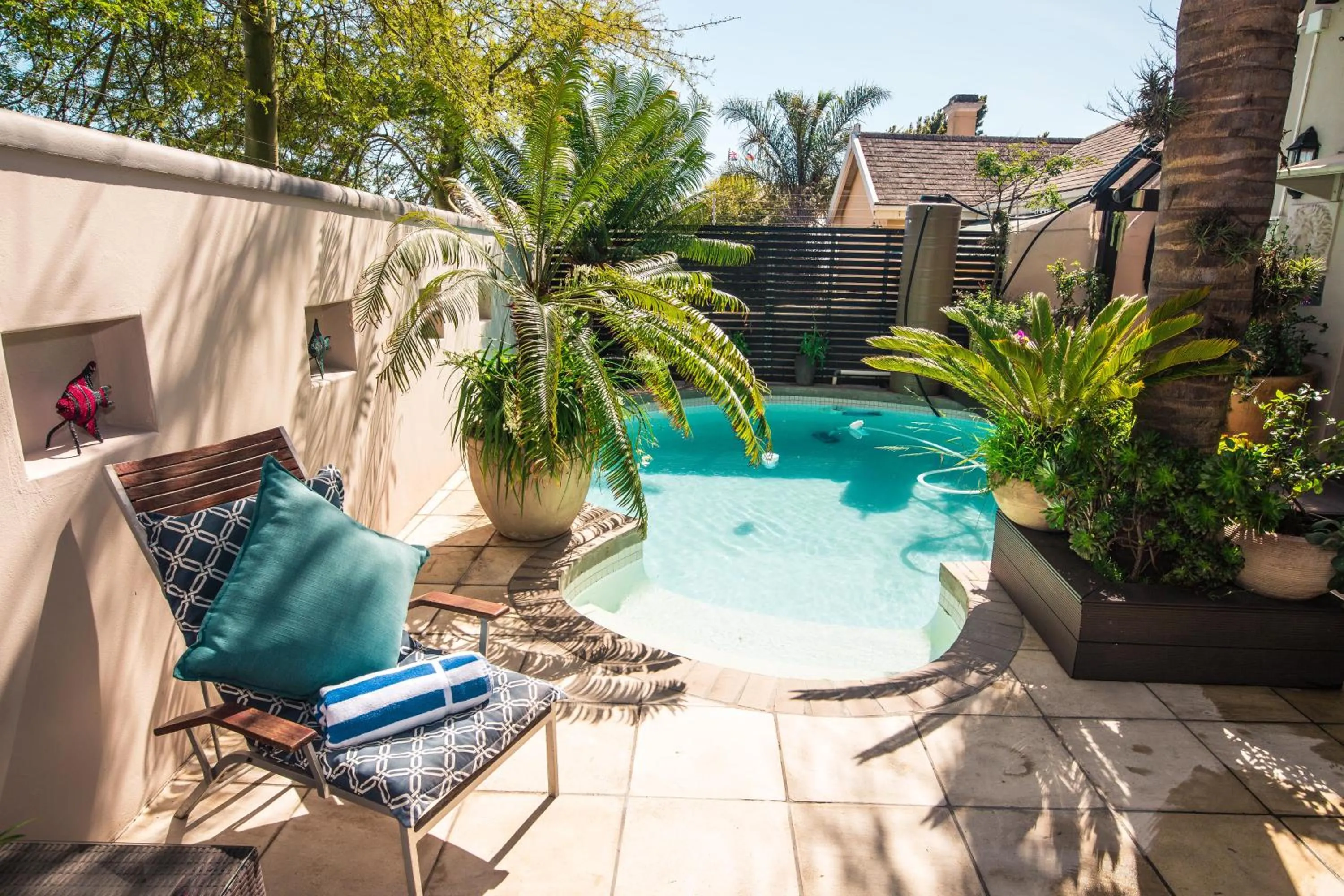 Pool view in Point B Guest House -Sustainable Solar Energy