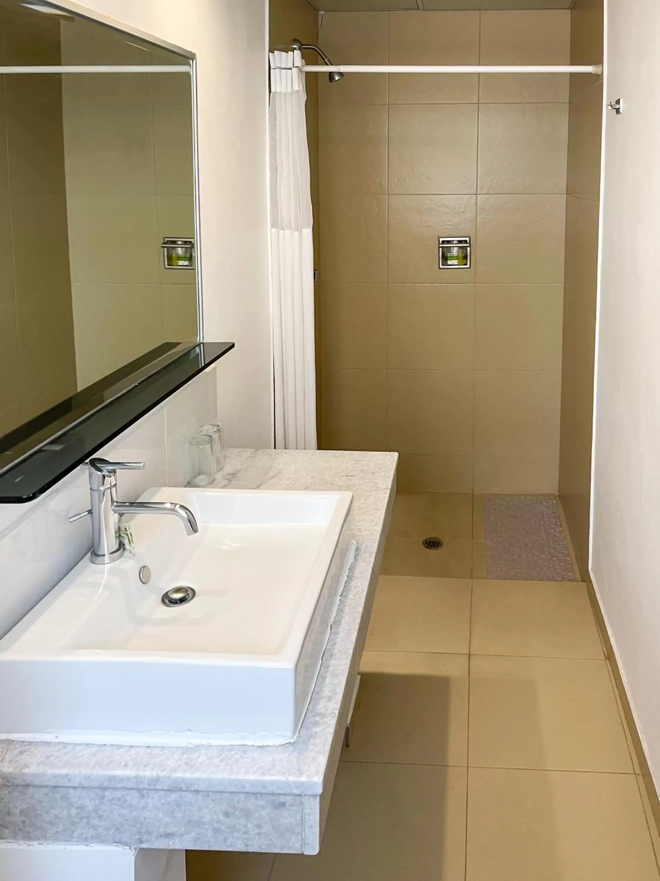 Shower, Bathroom in Hotel Palace México