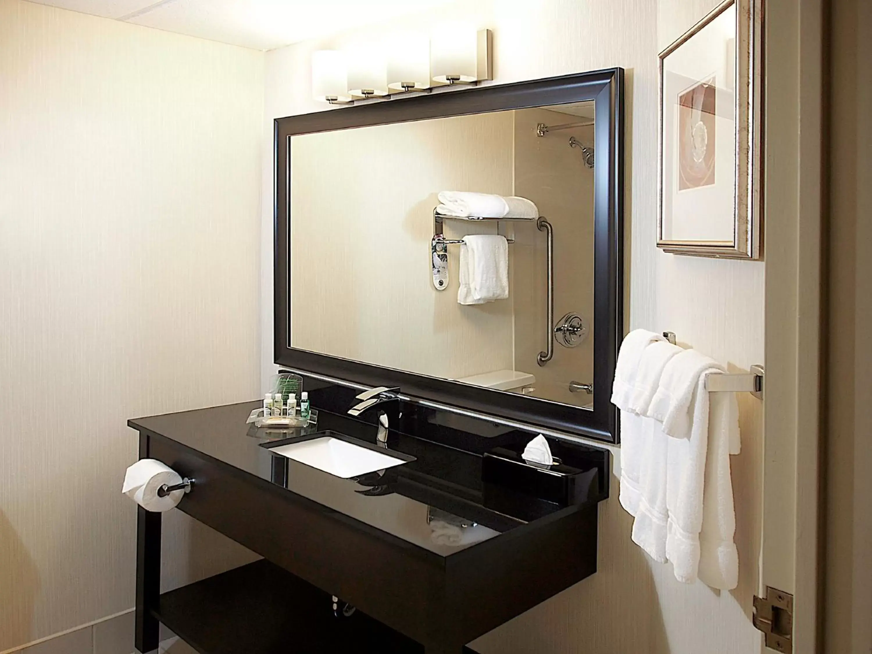 Bathroom in Holiday Inn & Suites Winnipeg Downtown, an IHG Hotel