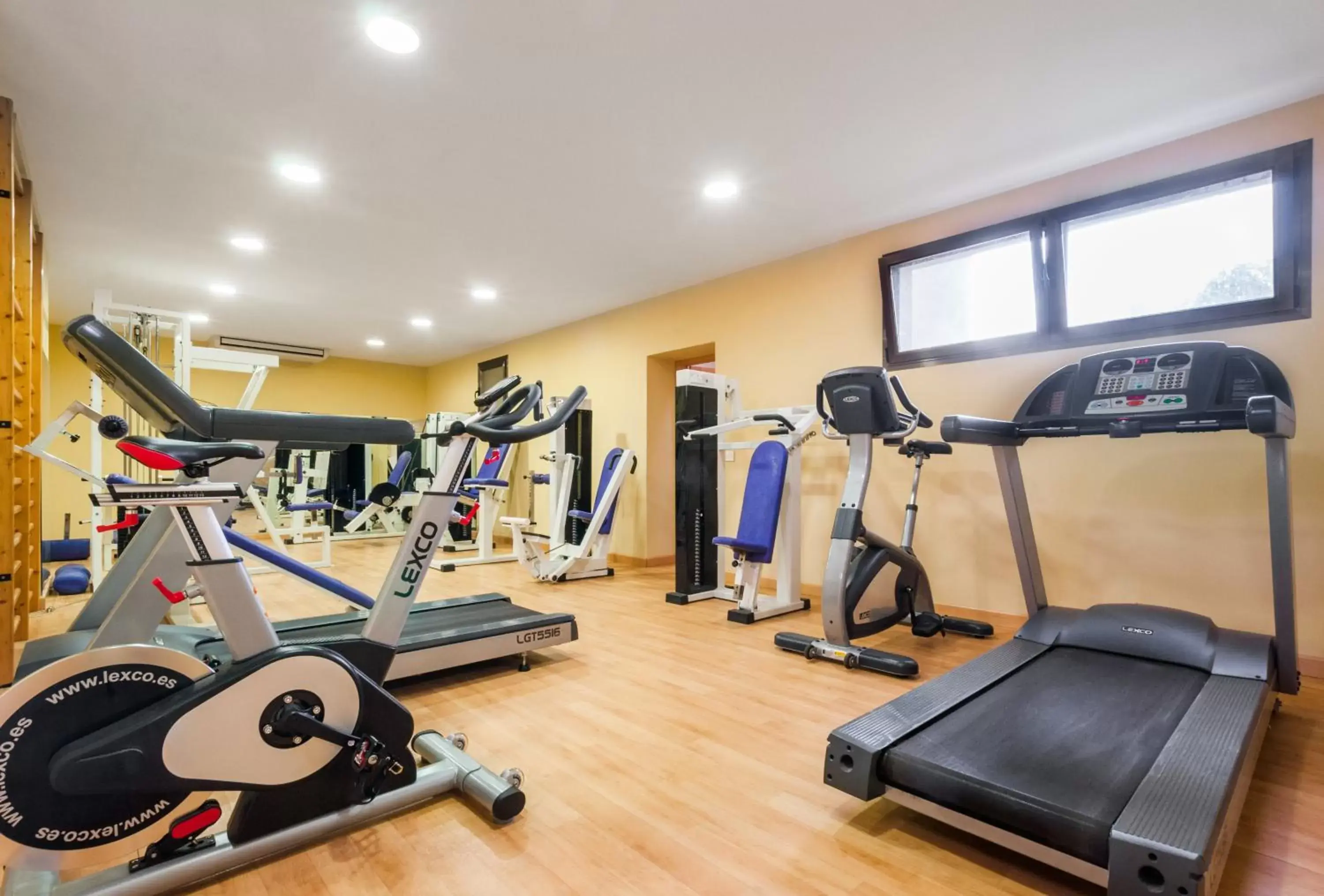 Fitness centre/facilities, Fitness Center/Facilities in Hotel Regio