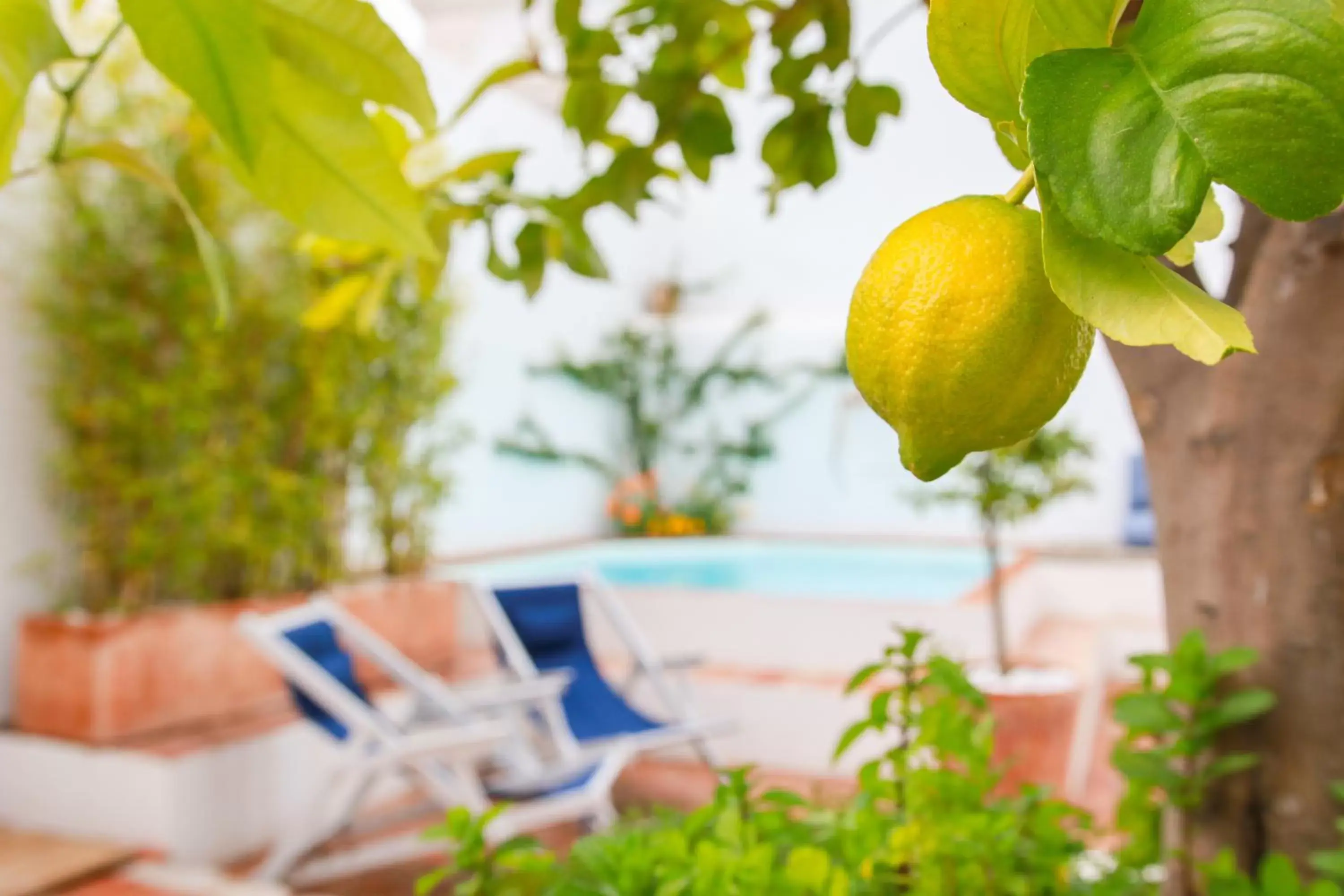 Patio, Swimming Pool in São Paulo Boutique Hotel - SPBH