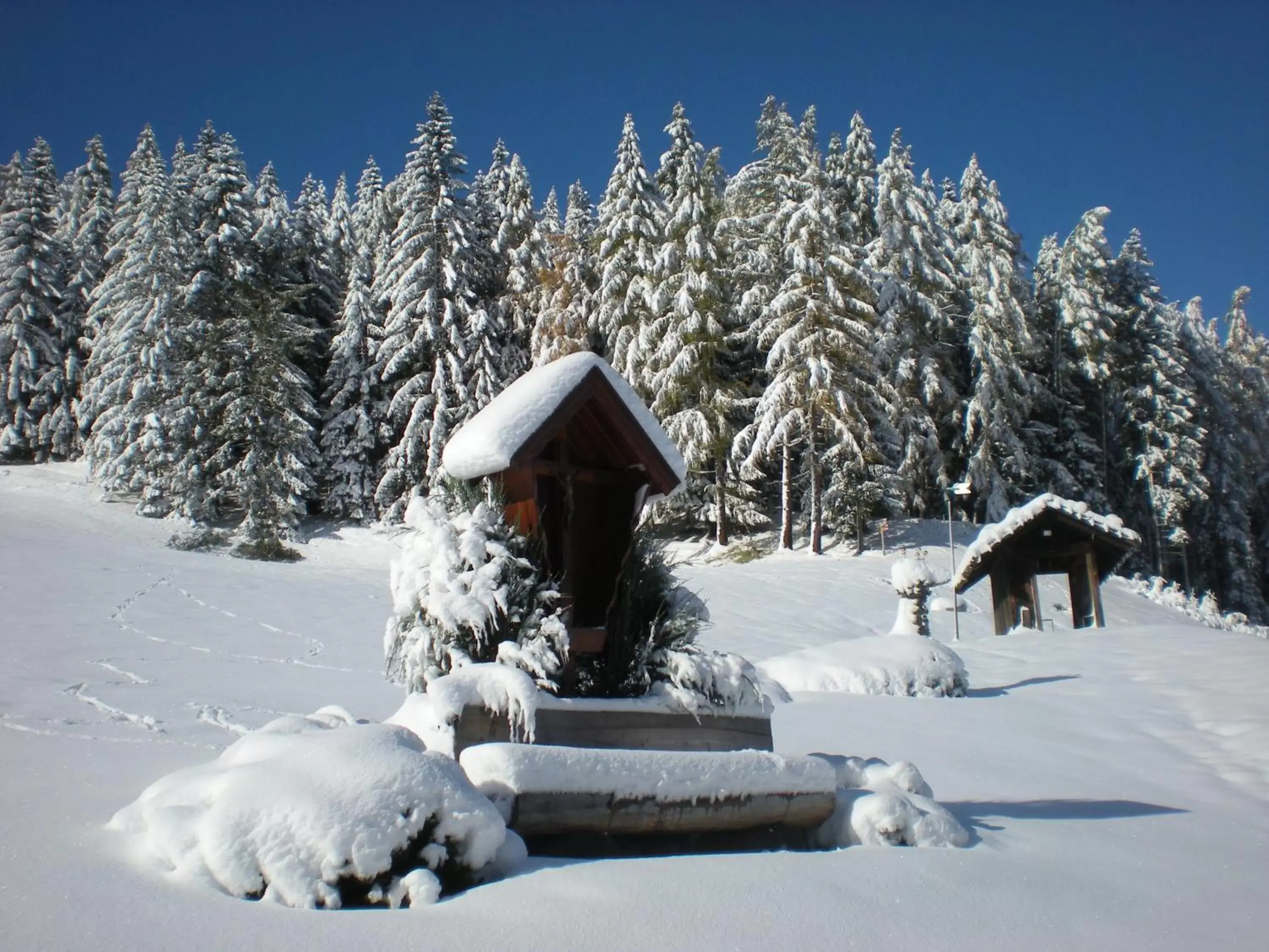 Winter in Almdorf Haidenberg