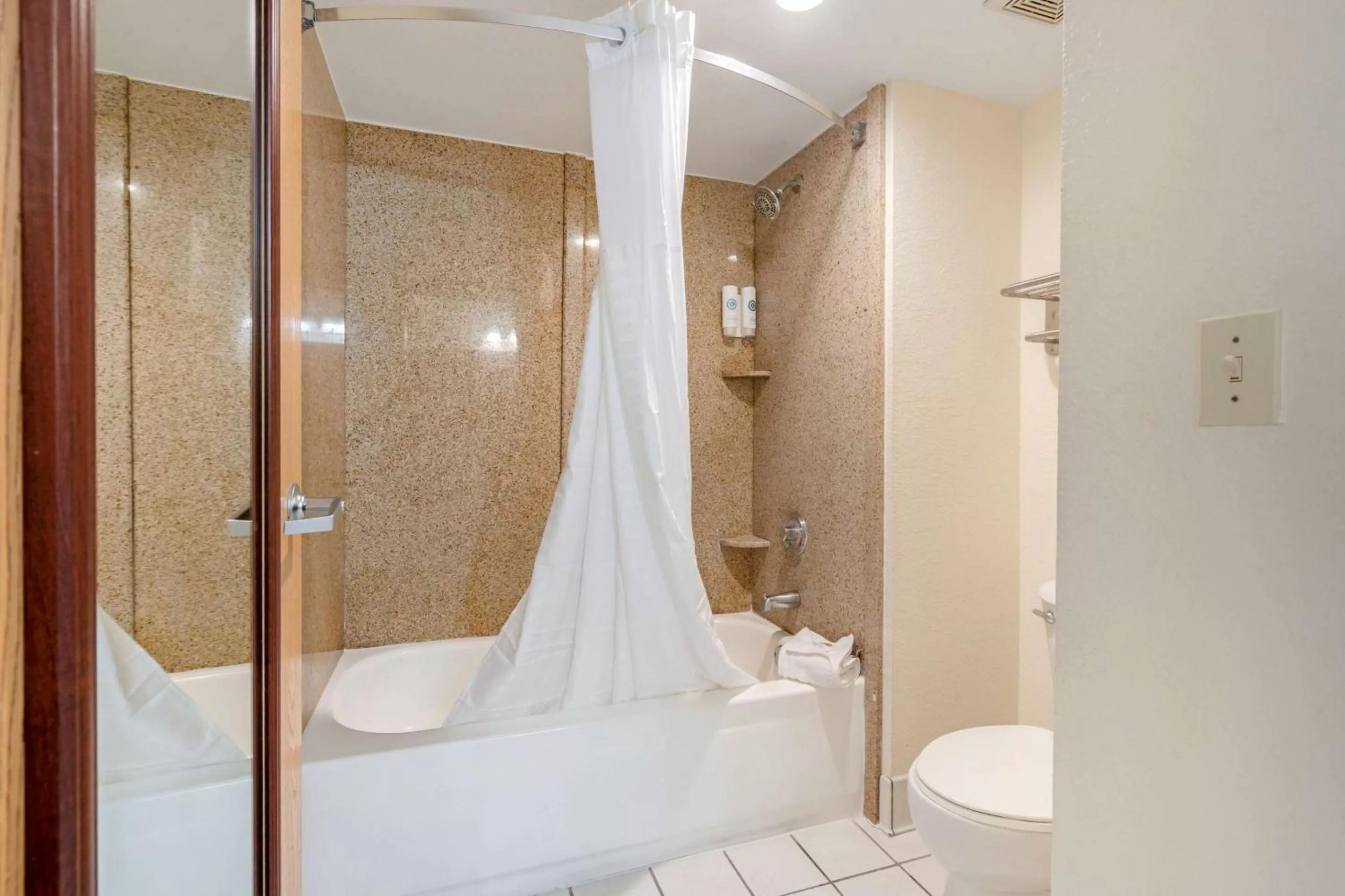 Bedroom in Comfort Inn Kissimmee-Lake Buena Vista South