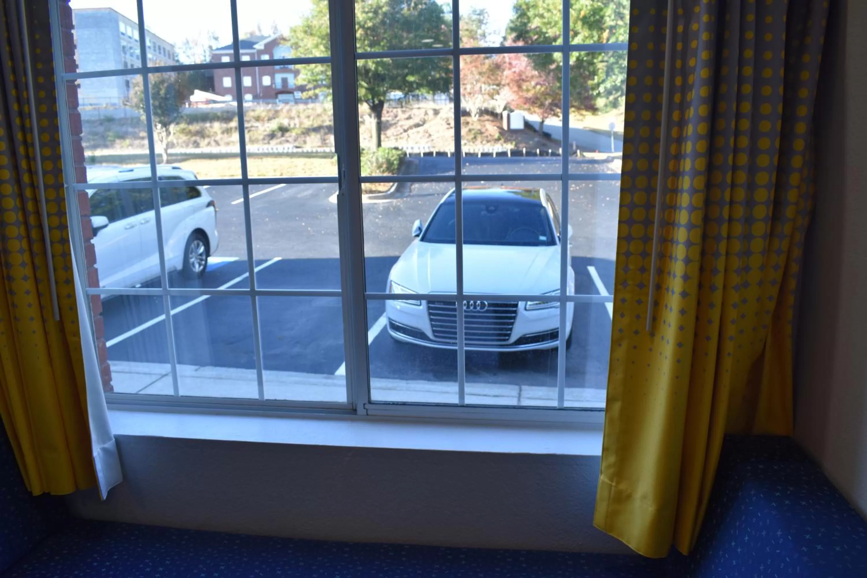 View (from property/room) in Microtel Inn & Suites by Wyndham Stockbridge/Atlanta I-75