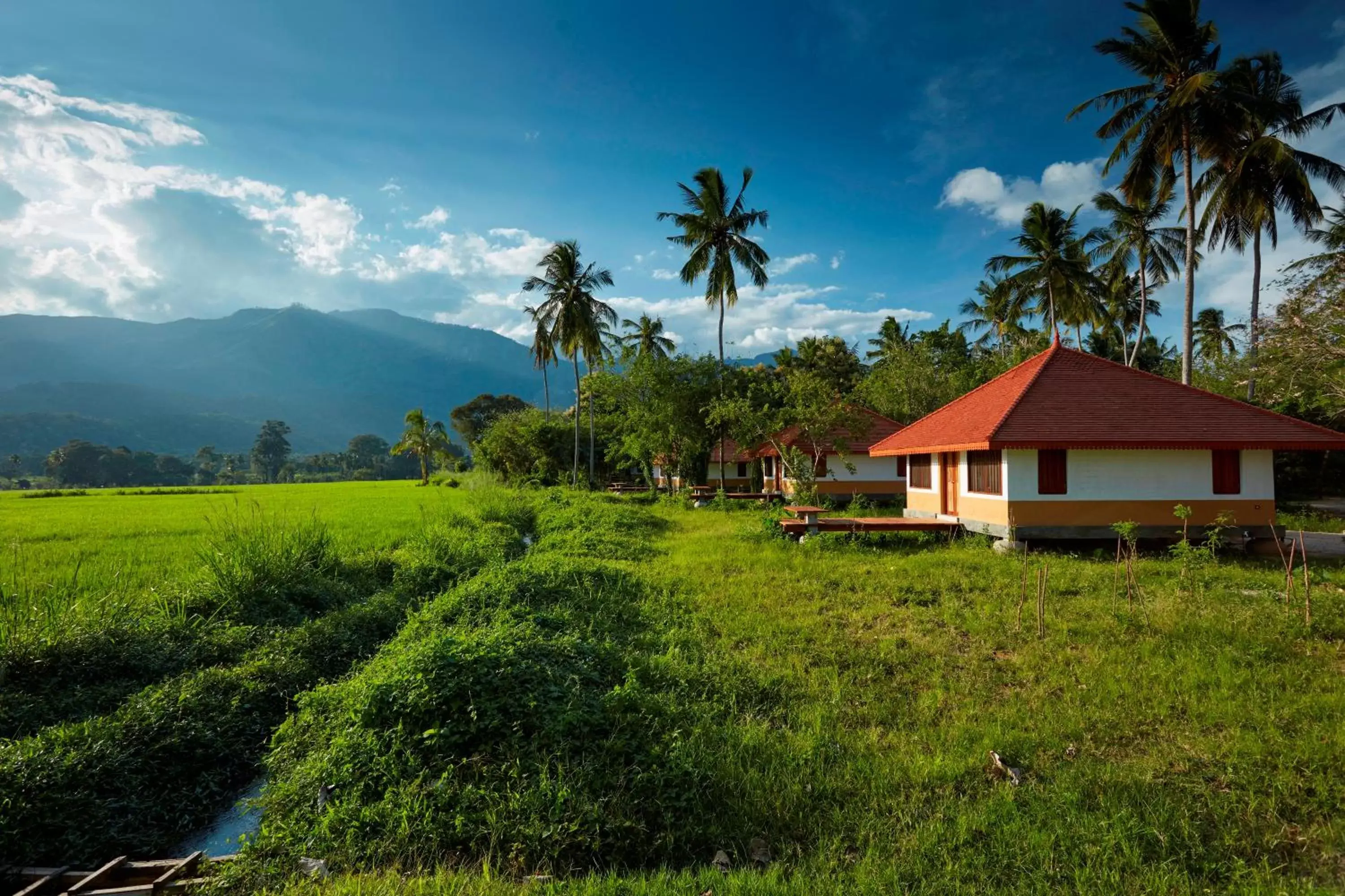 Photo of the whole room, Property Building in Jetwing Kaduruketha