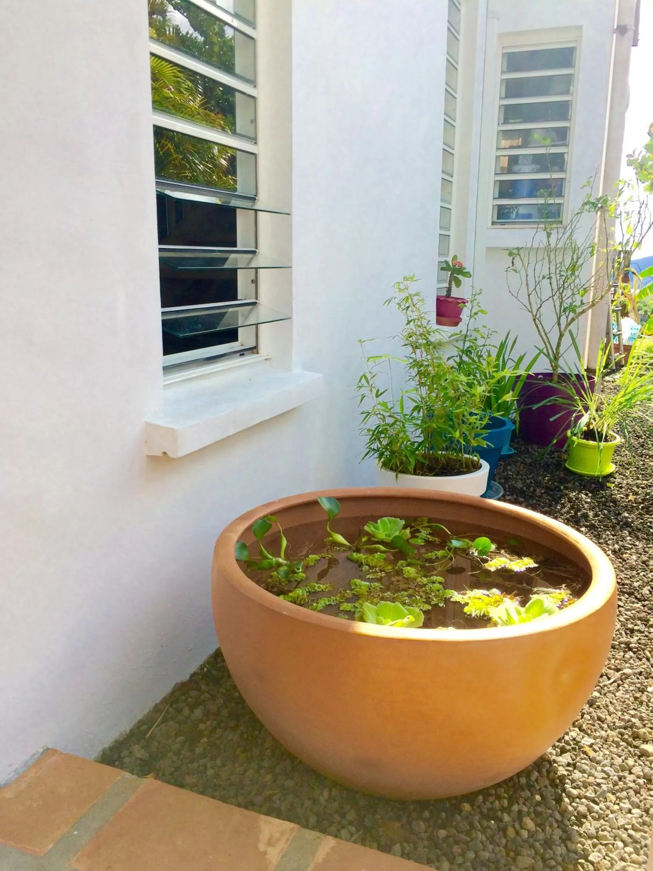 Property building in Villa Cajou chambres d'hôtes chez l'habitant et Zanzibar cottage