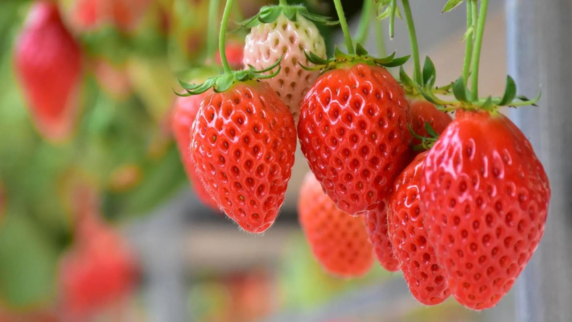 Nearby landmark in Toyoko Inn Yokohama Tsurumi eki Higashi guchi