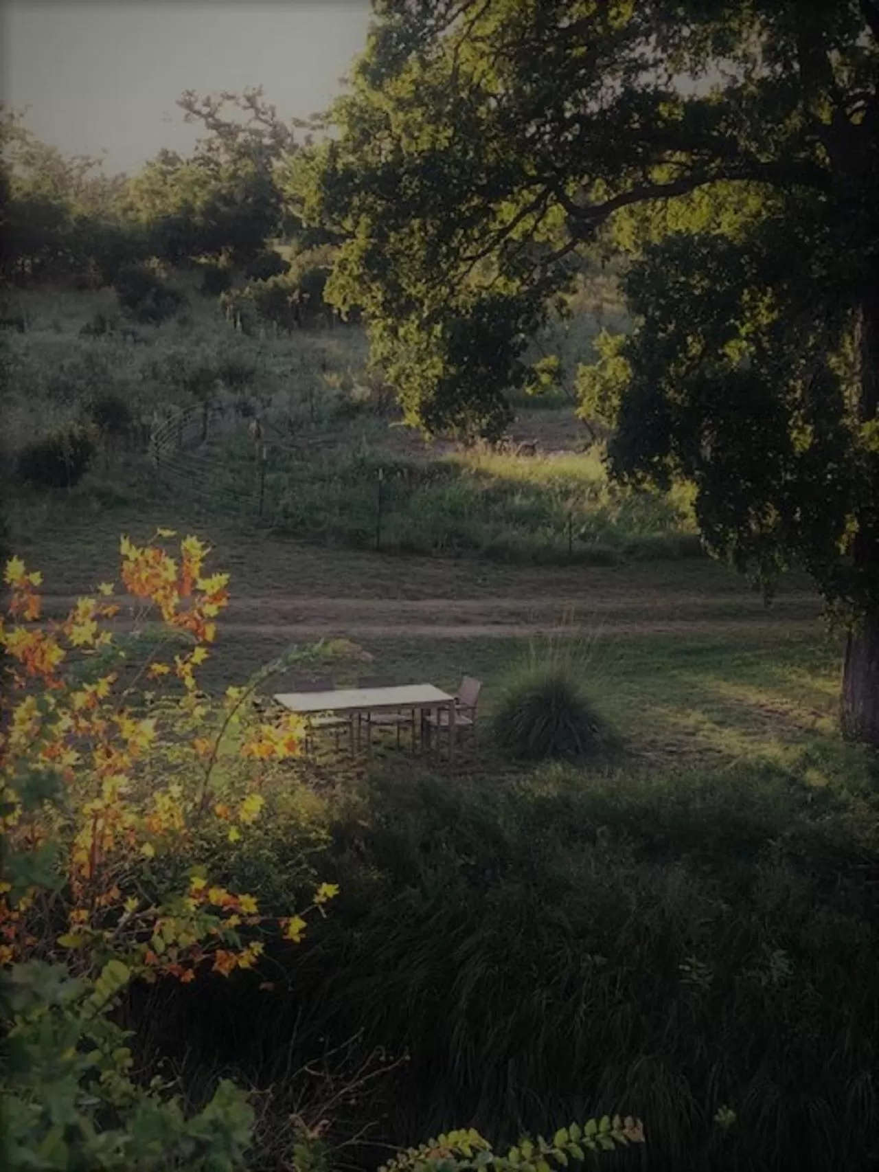 City on a Hill at Spring Creek