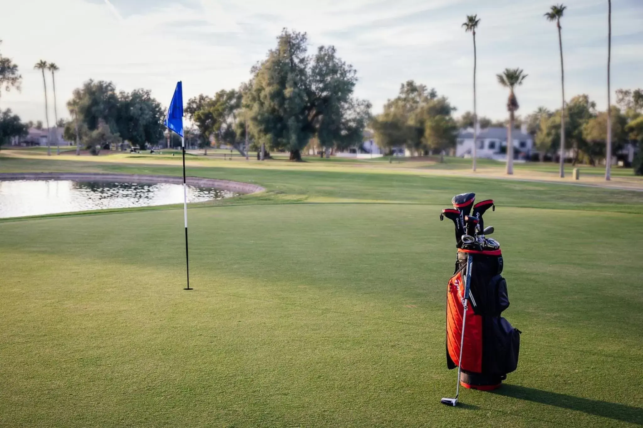 Golfcourse, Other Activities in Crowne Plaza Phoenix - Chandler Golf Resort, an IHG Hotel