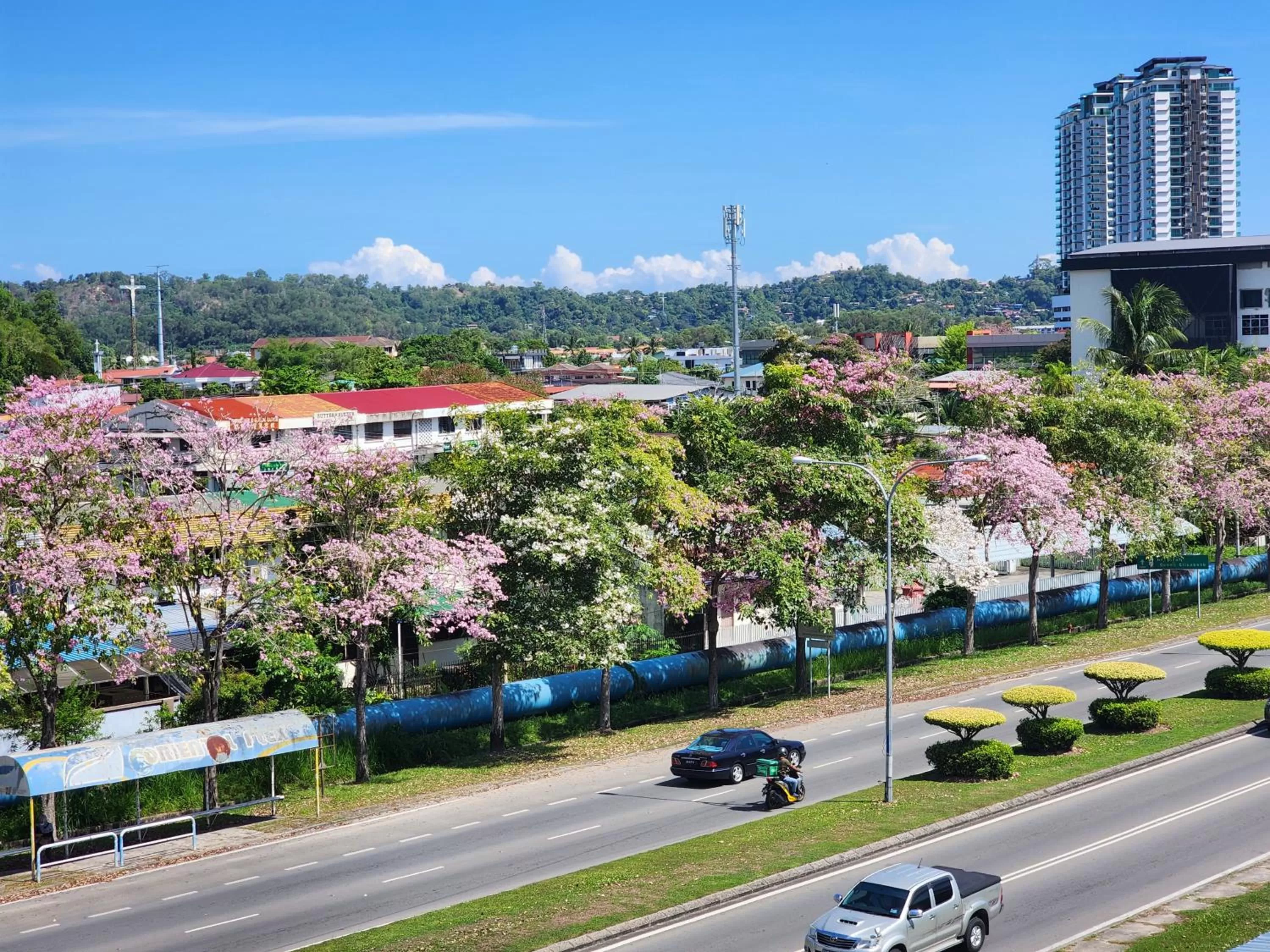Street view in Y Hotel