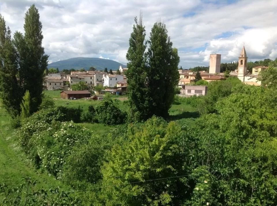 Day in Il Giardino del Gallo