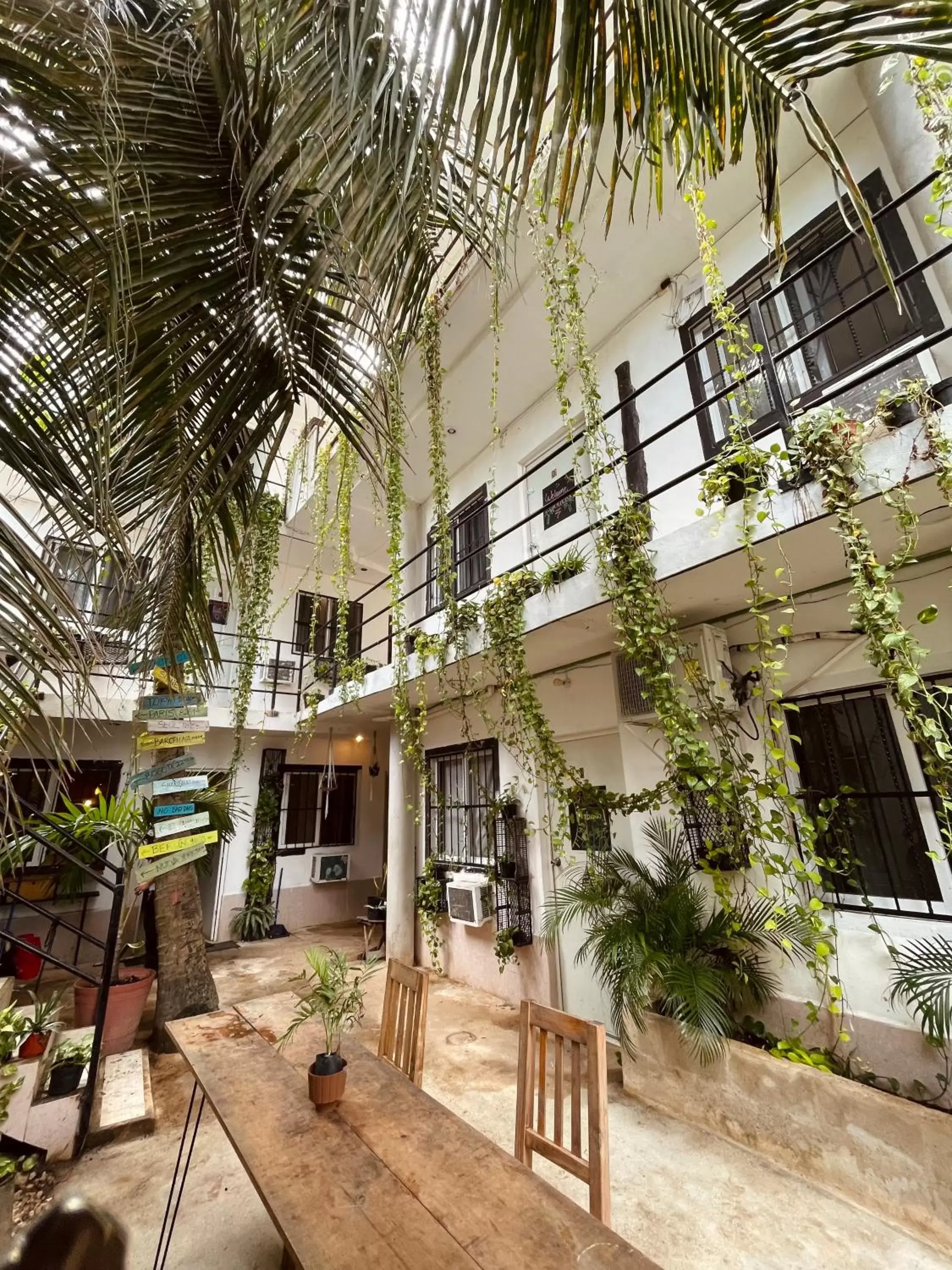 Garden in Anana Coliving