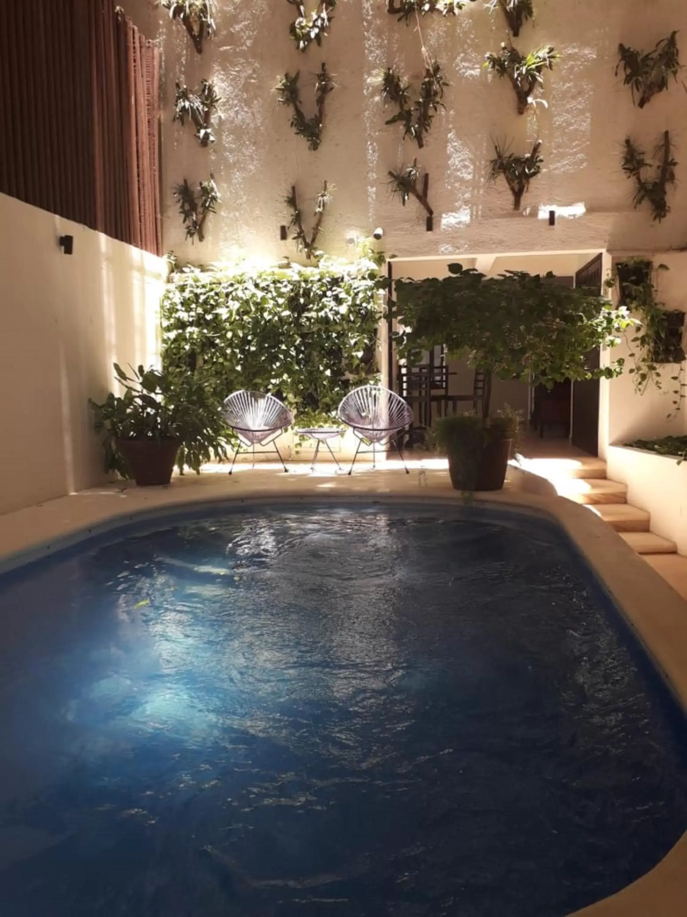 Swimming Pool in Casa Ticul Hotel Boutique - 5Th Ave by BFH