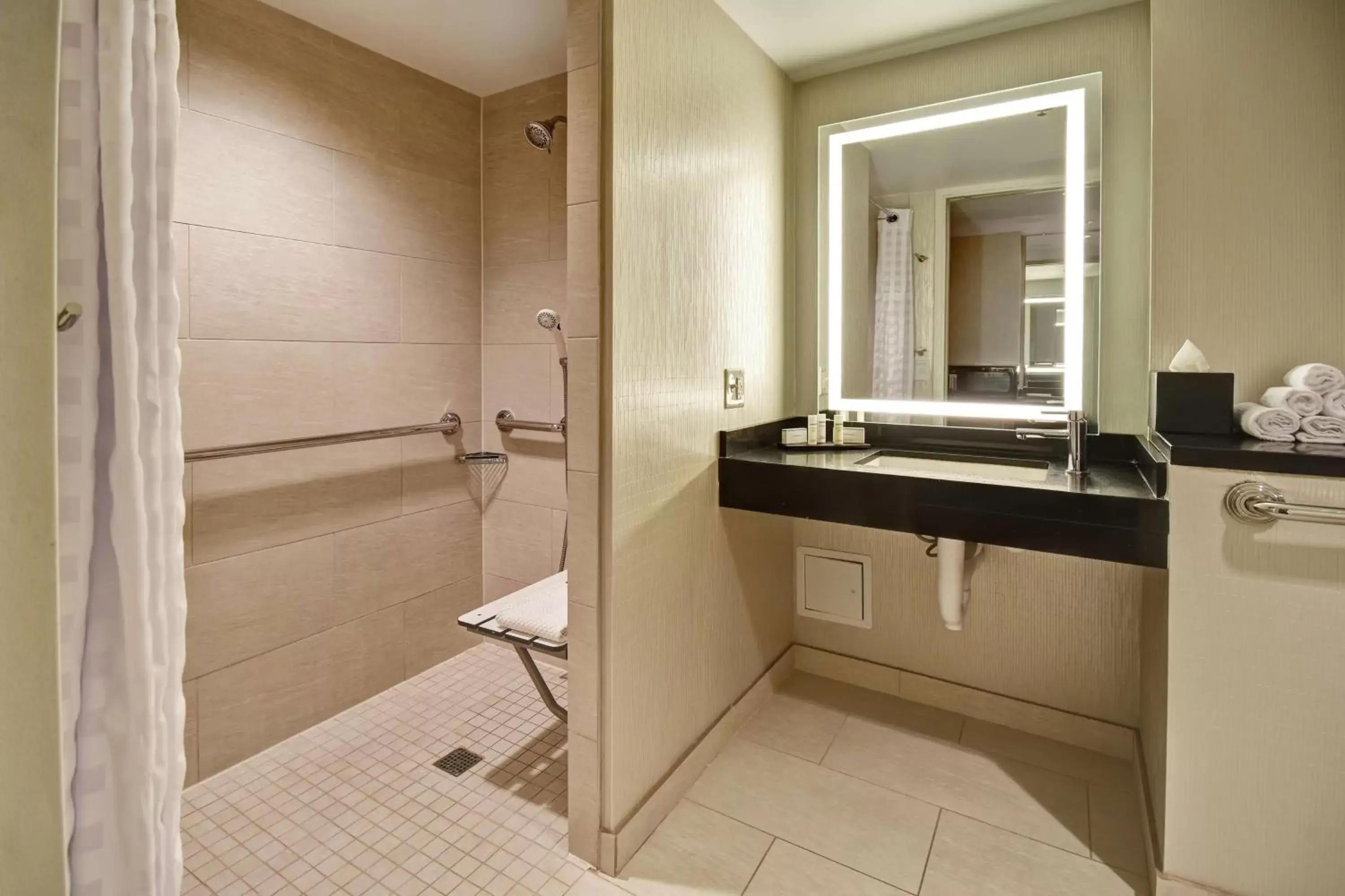 Bathroom in Embassy Suites by Hilton Chicago Downtown Magnificent Mile