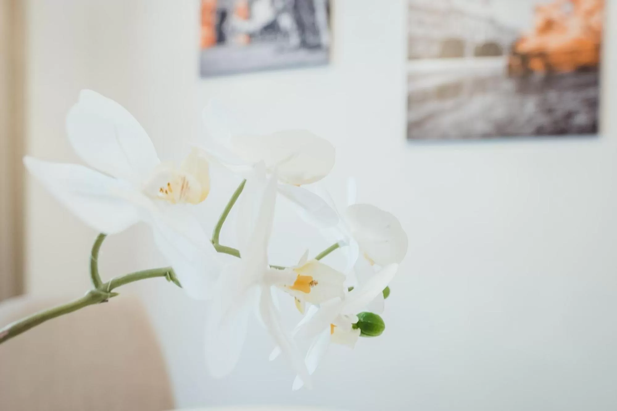 Decorative detail in Oliver Apartments | contactless check-in