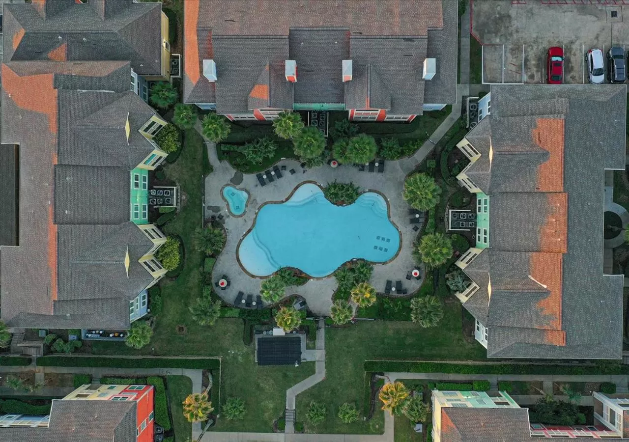 Bird's eye view in The Dawn on Galveston Beach